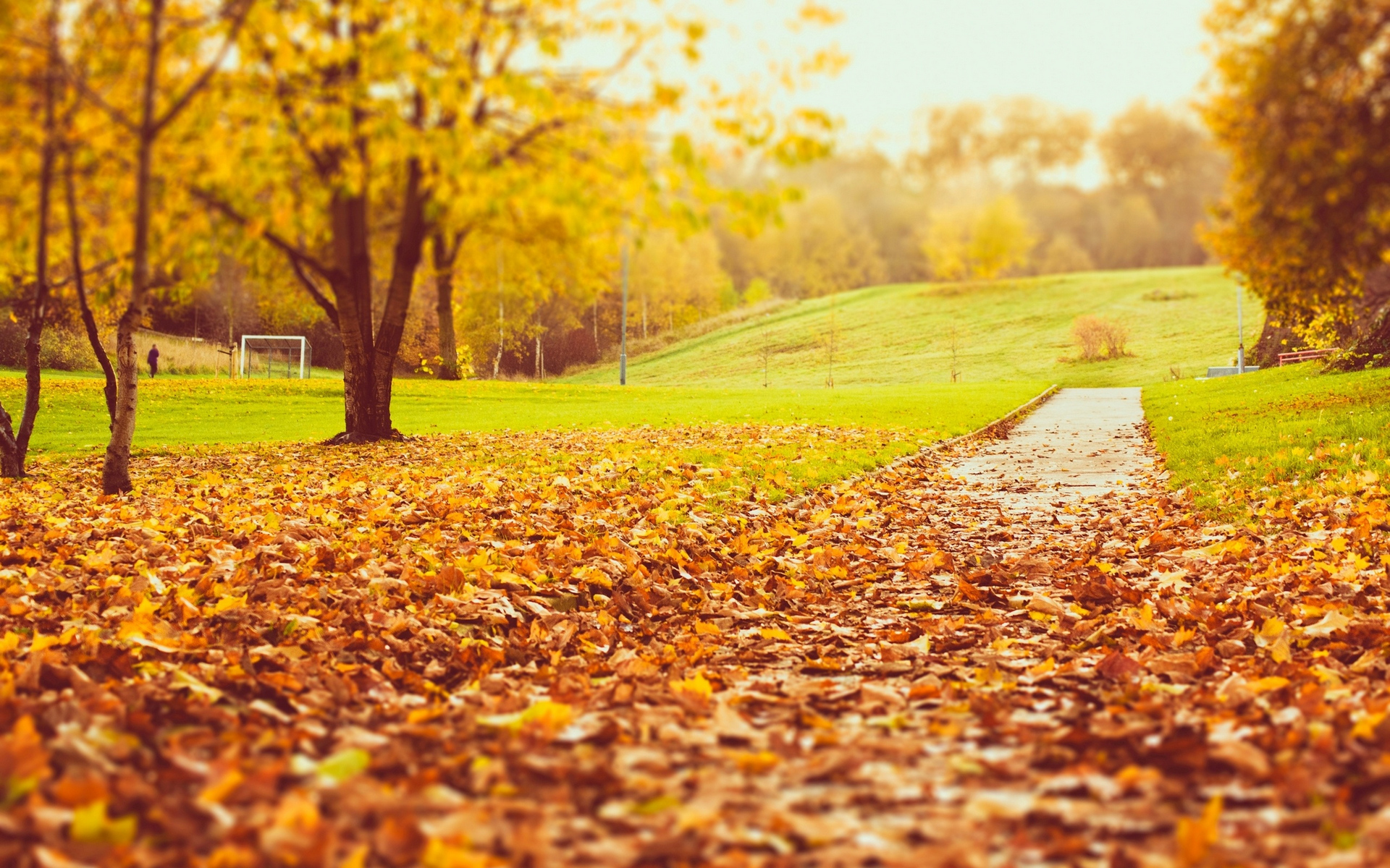 Wallpapers autumn park stadium on the desktop