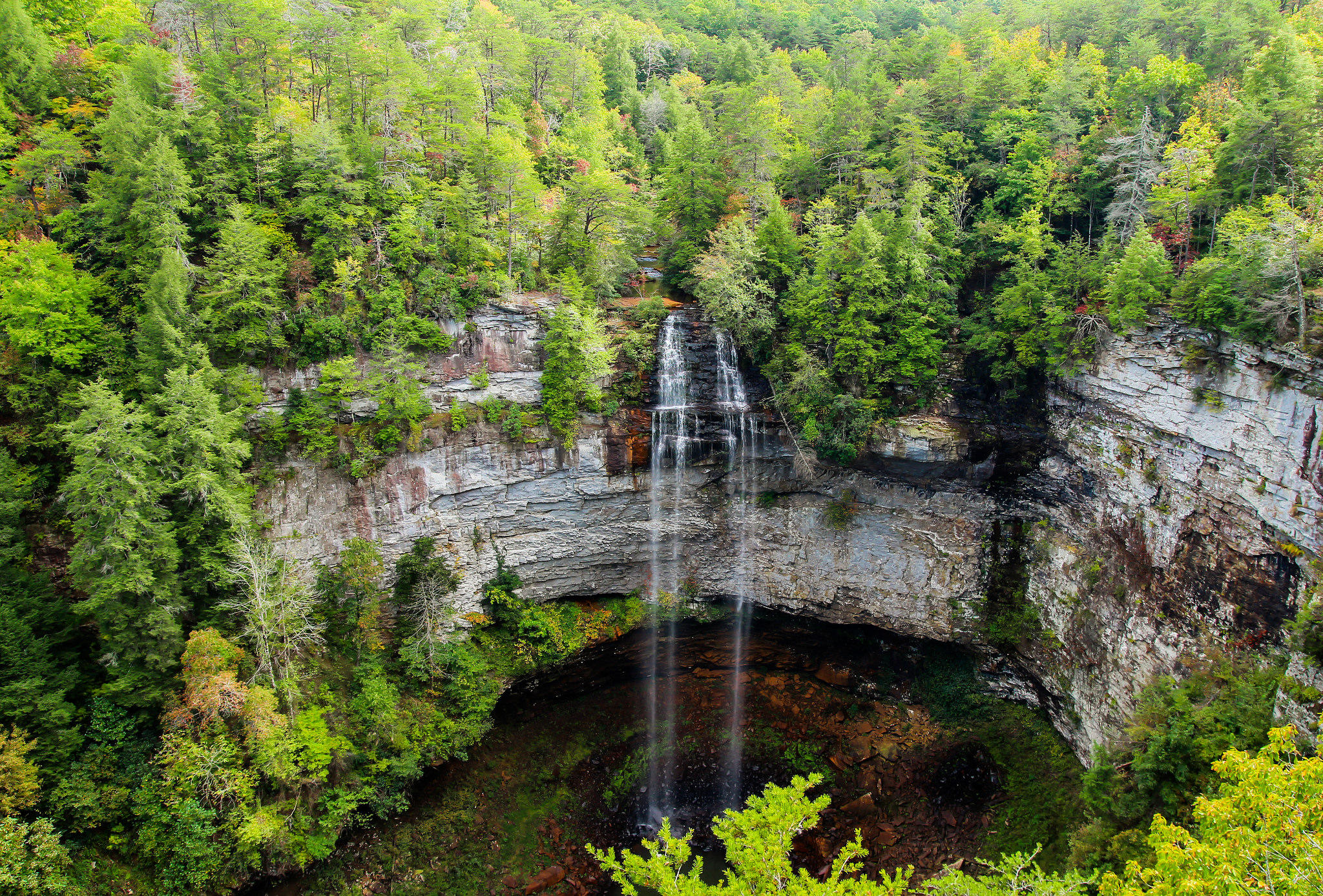 Обои деревья водопад Falls Creek Falls State Park на рабочий стол