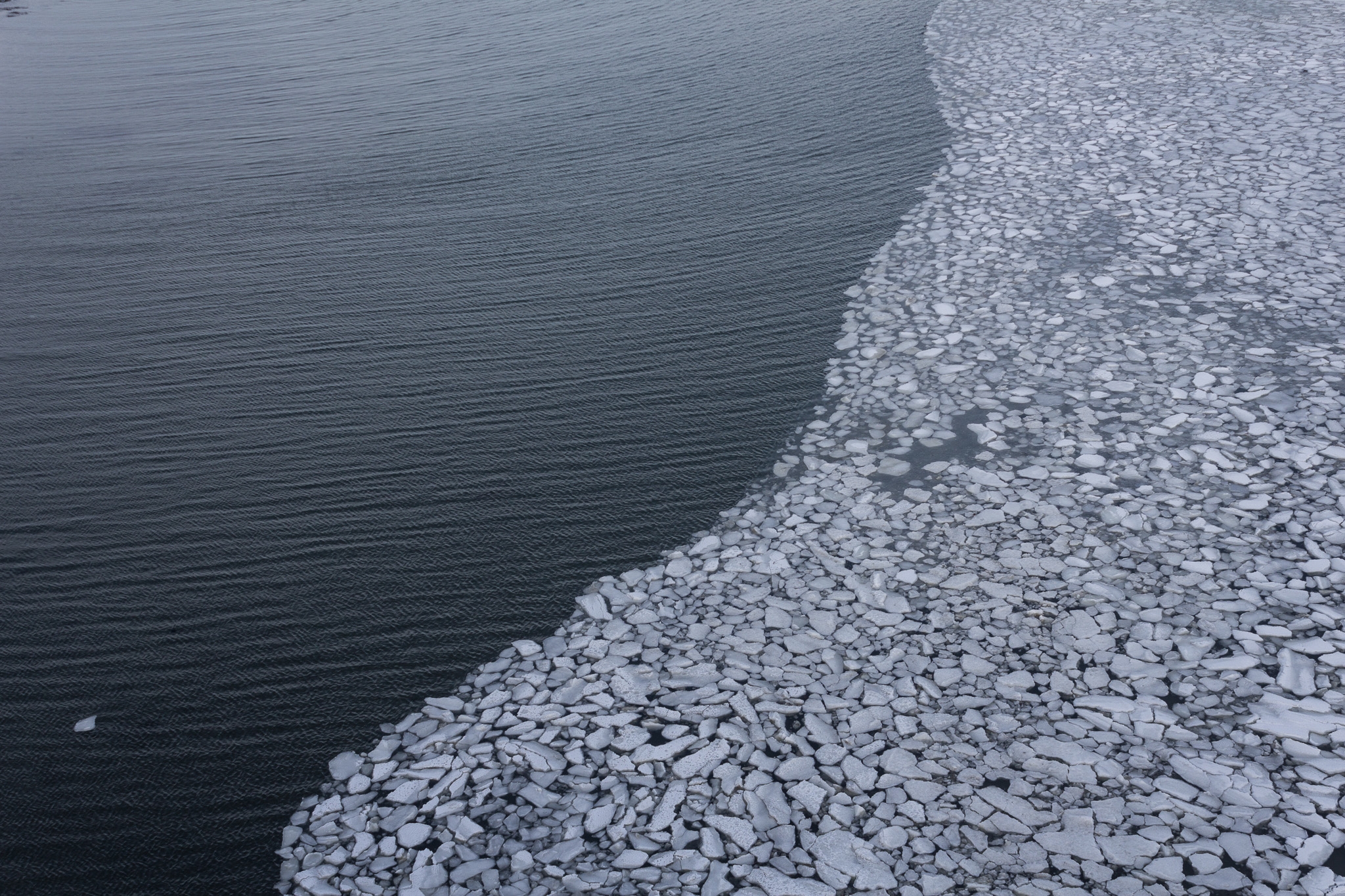 海岸边漂浮的冰块碎片
