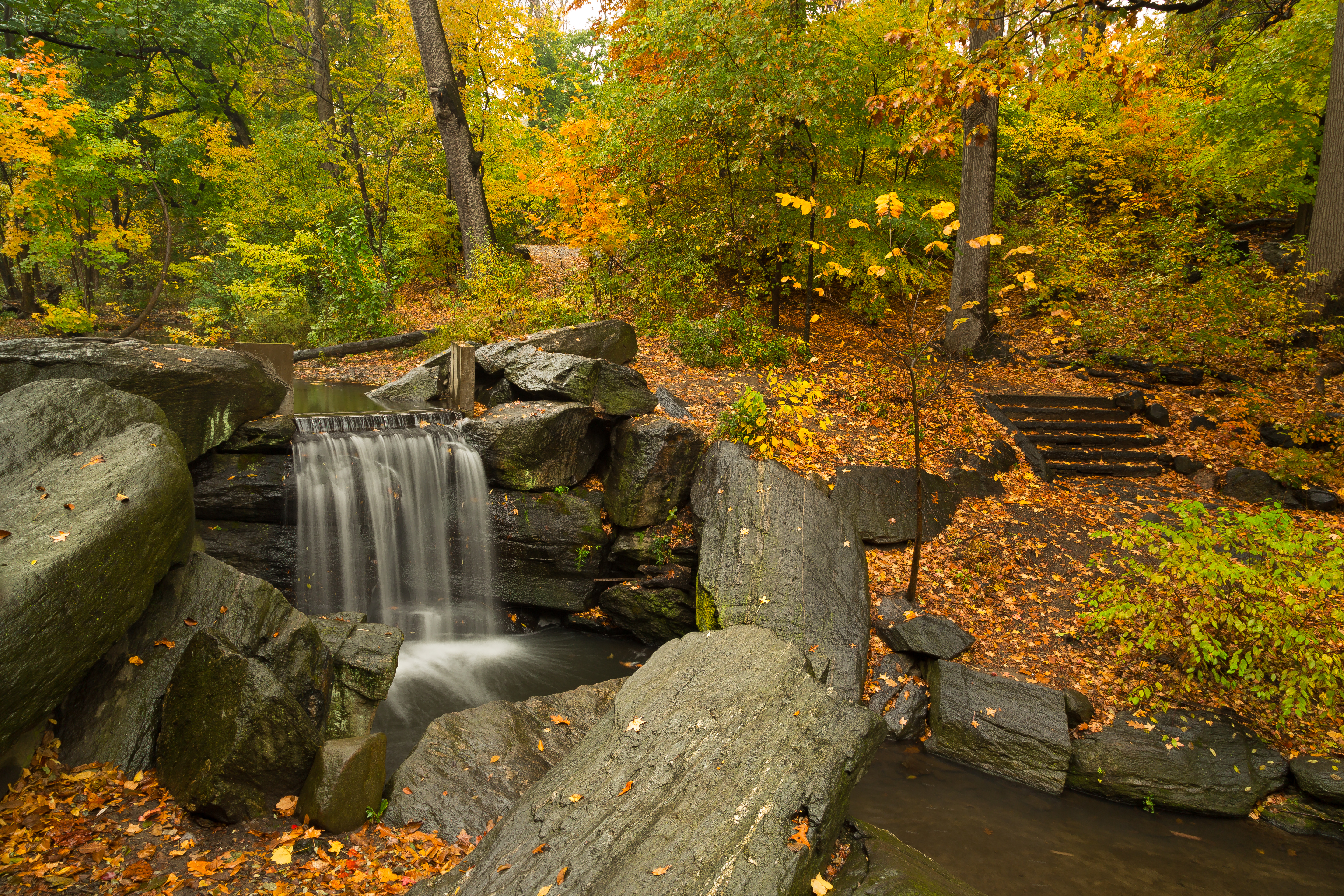 Wallpapers Central Park New York USA waterfall on the desktop