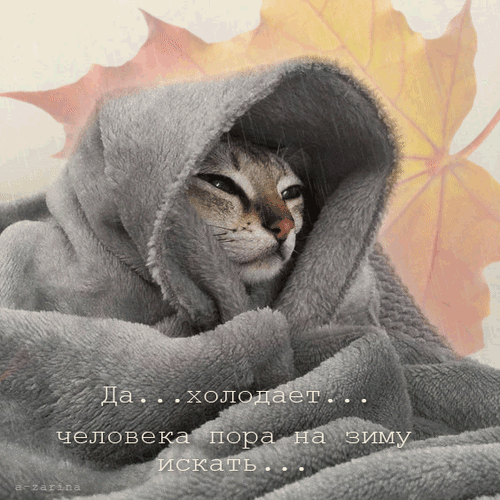 主题为寒冷的 秋叶 动画的明信片免费下载