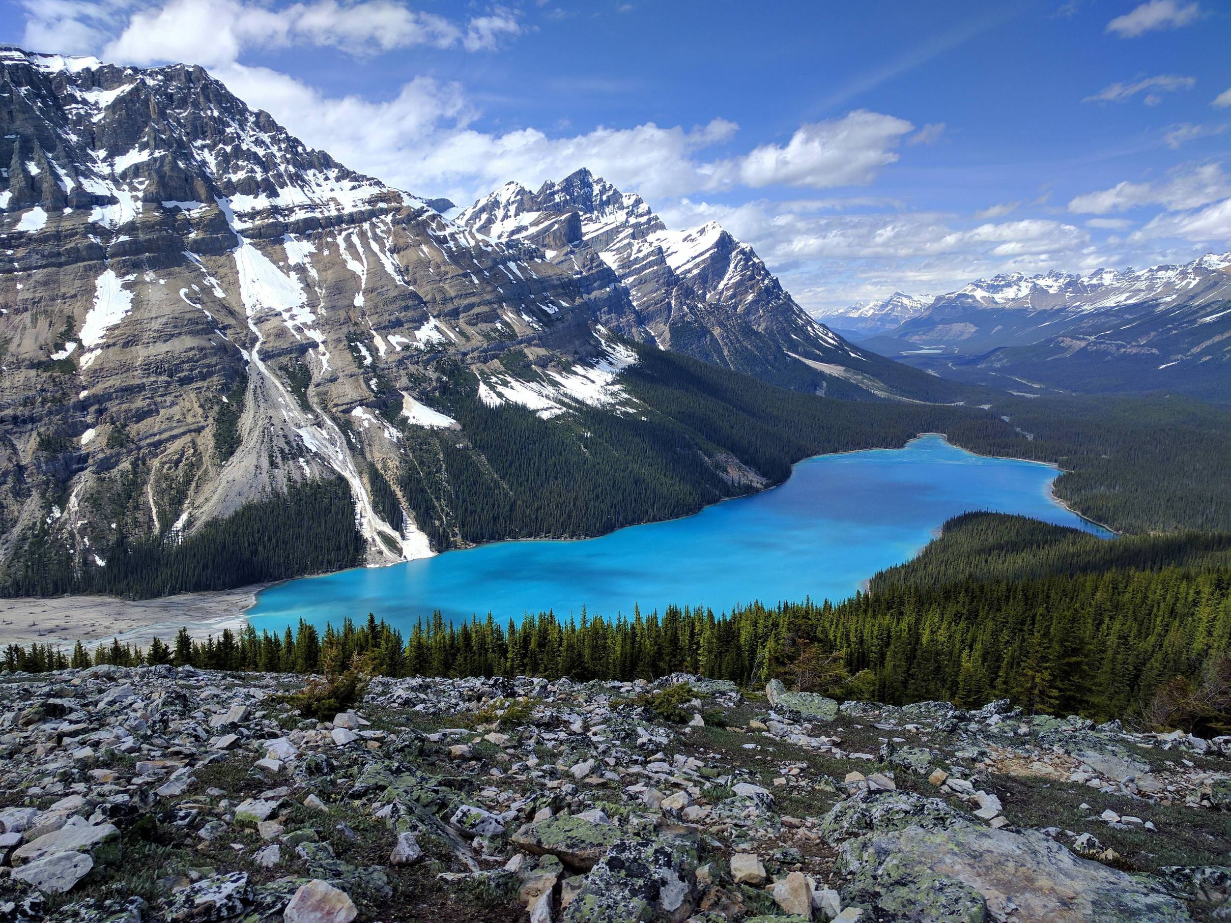 Wallpapers Peyto Lake Banff National Park Canadian Rockies on the desktop