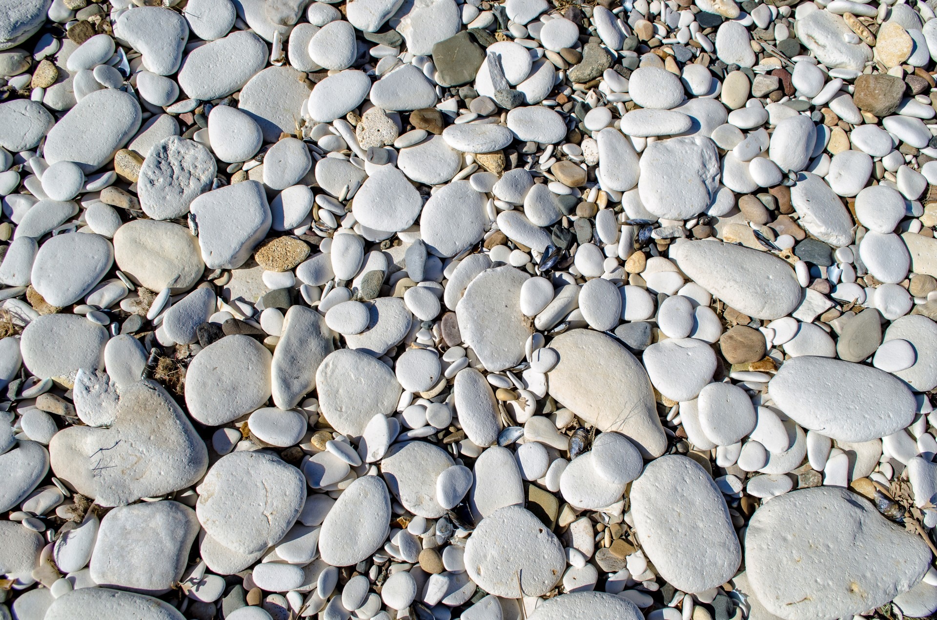 海滩的海岸由小石子铺成