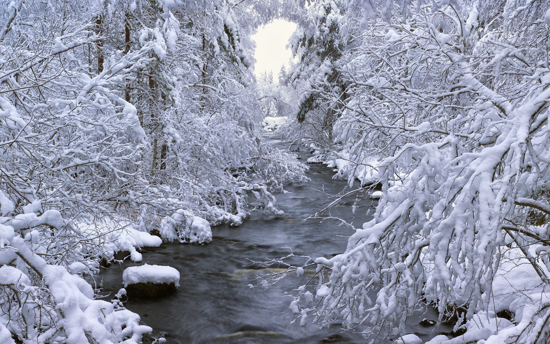 Wallpapers landscapes nature rivers on the desktop