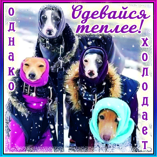 主题为注意保暖。 冬季 雪的明信片免费下载