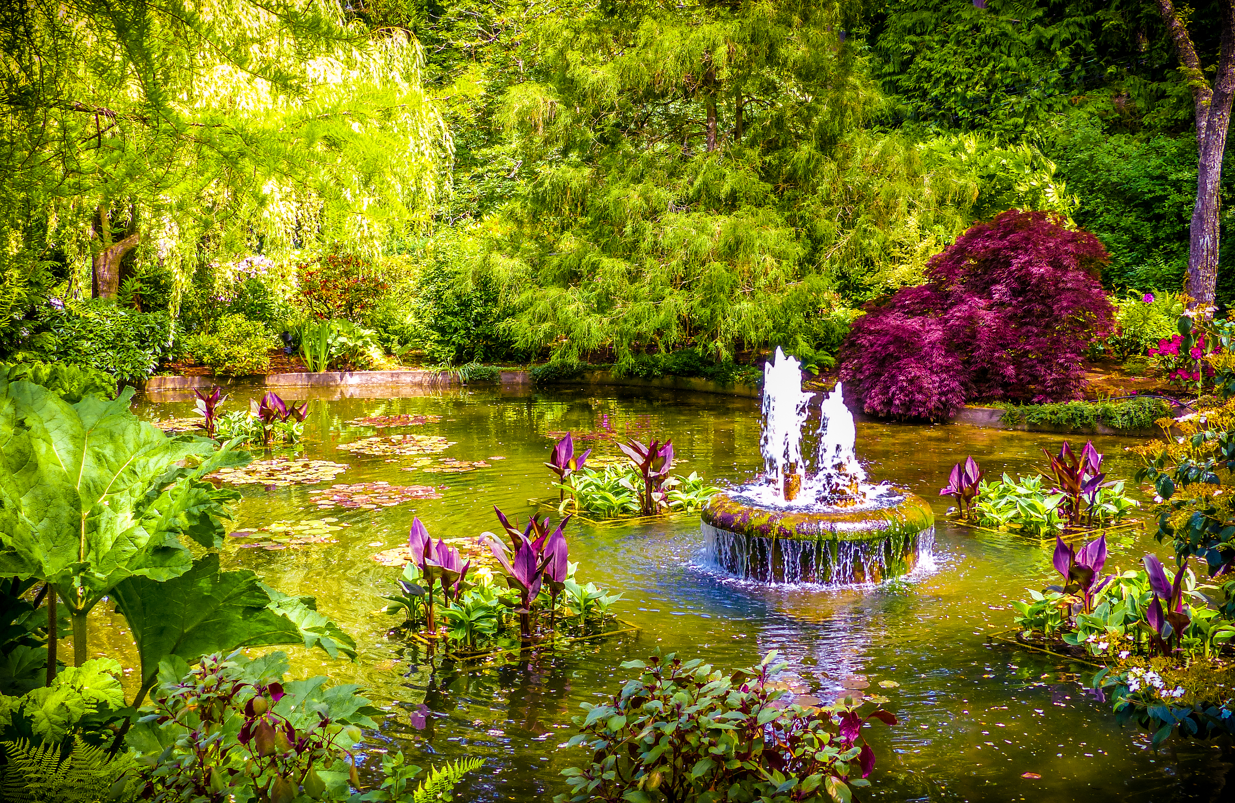 Wallpapers Butchart Gardens Canada garden on the desktop