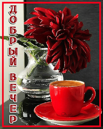 主题为晚上好 瓶 咖啡的明信片免费下载