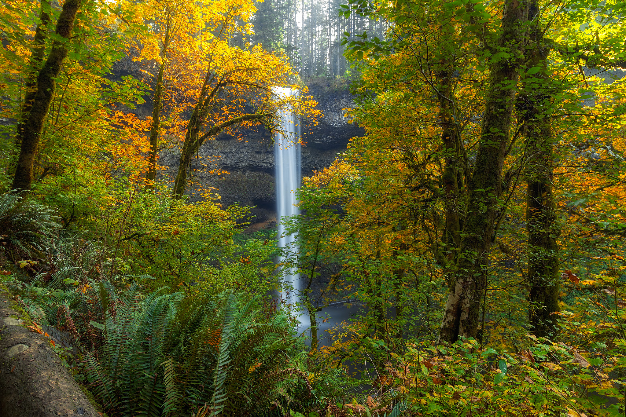 Обои South Falls Silver Falls State Park Oregon на рабочий стол