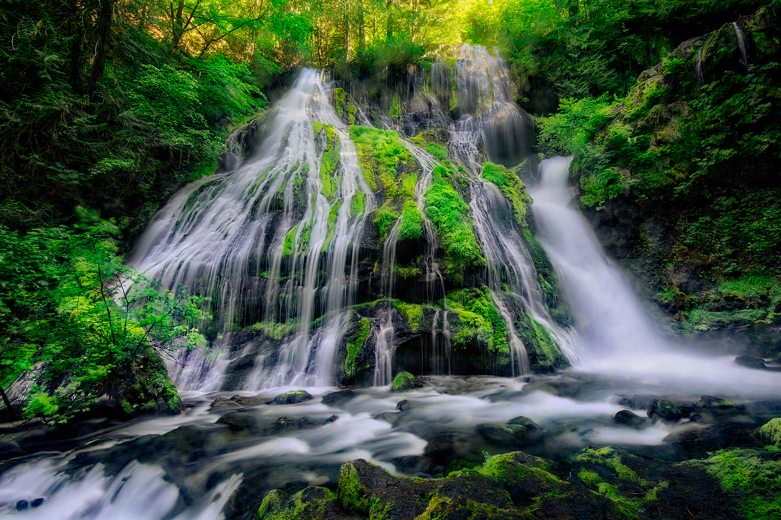 Wallpapers trees landscape located in the Columbia River Gorge on the desktop