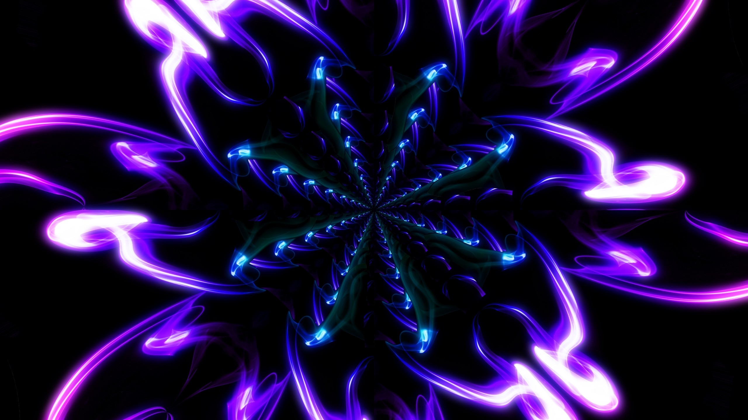 桌面上的壁纸图画 淡紫色 黑色背景