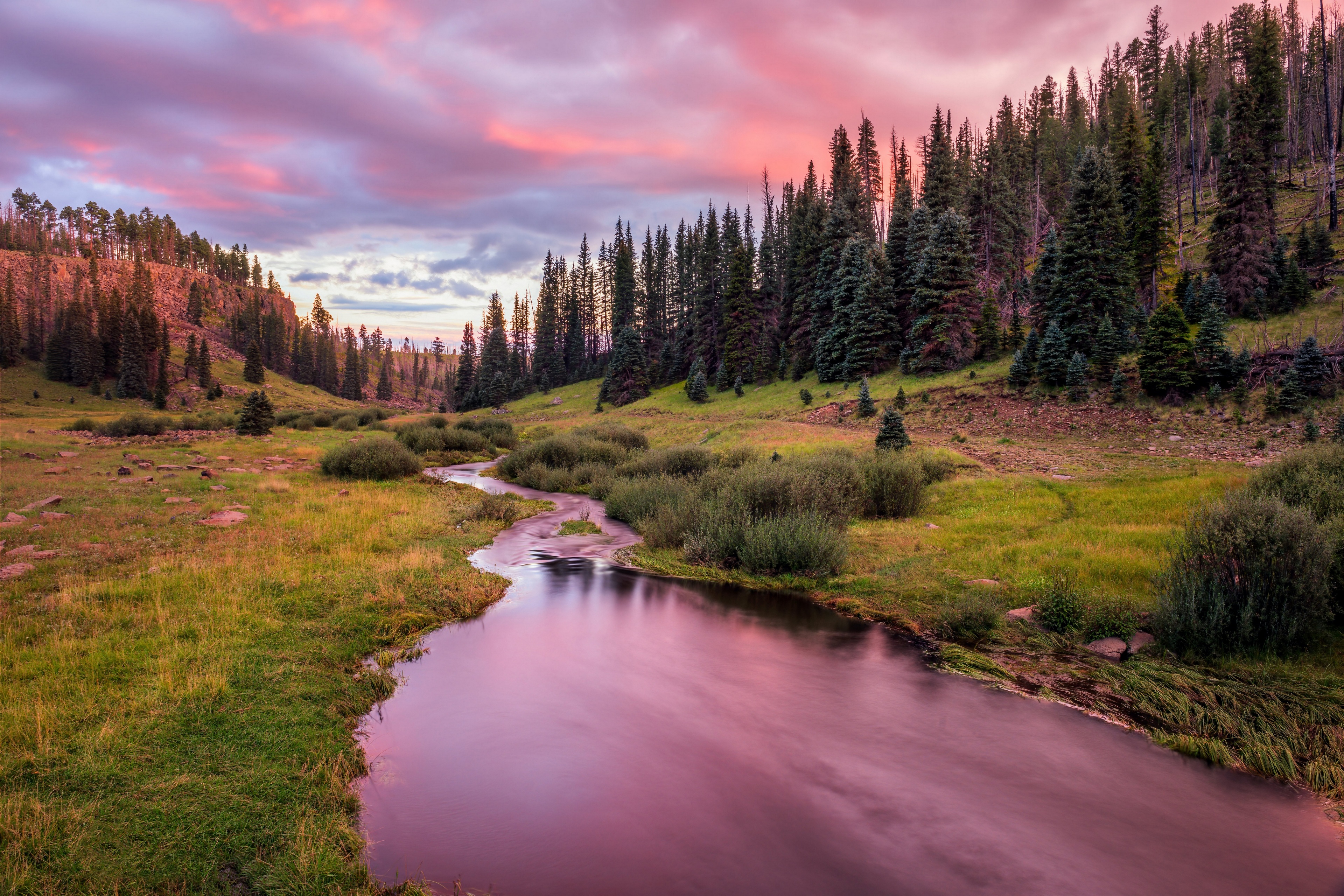 Free photo A stream in a field at sunset