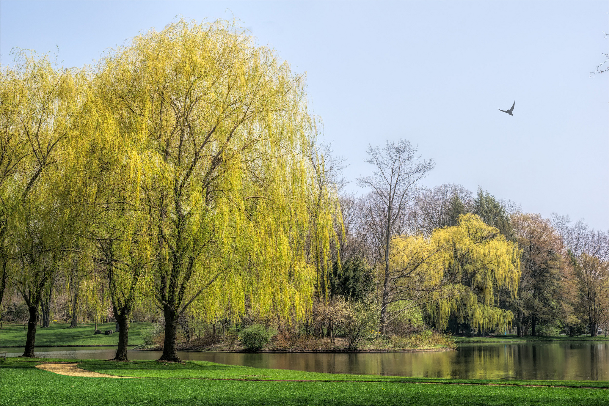 Wallpapers nature pond scenic on the desktop