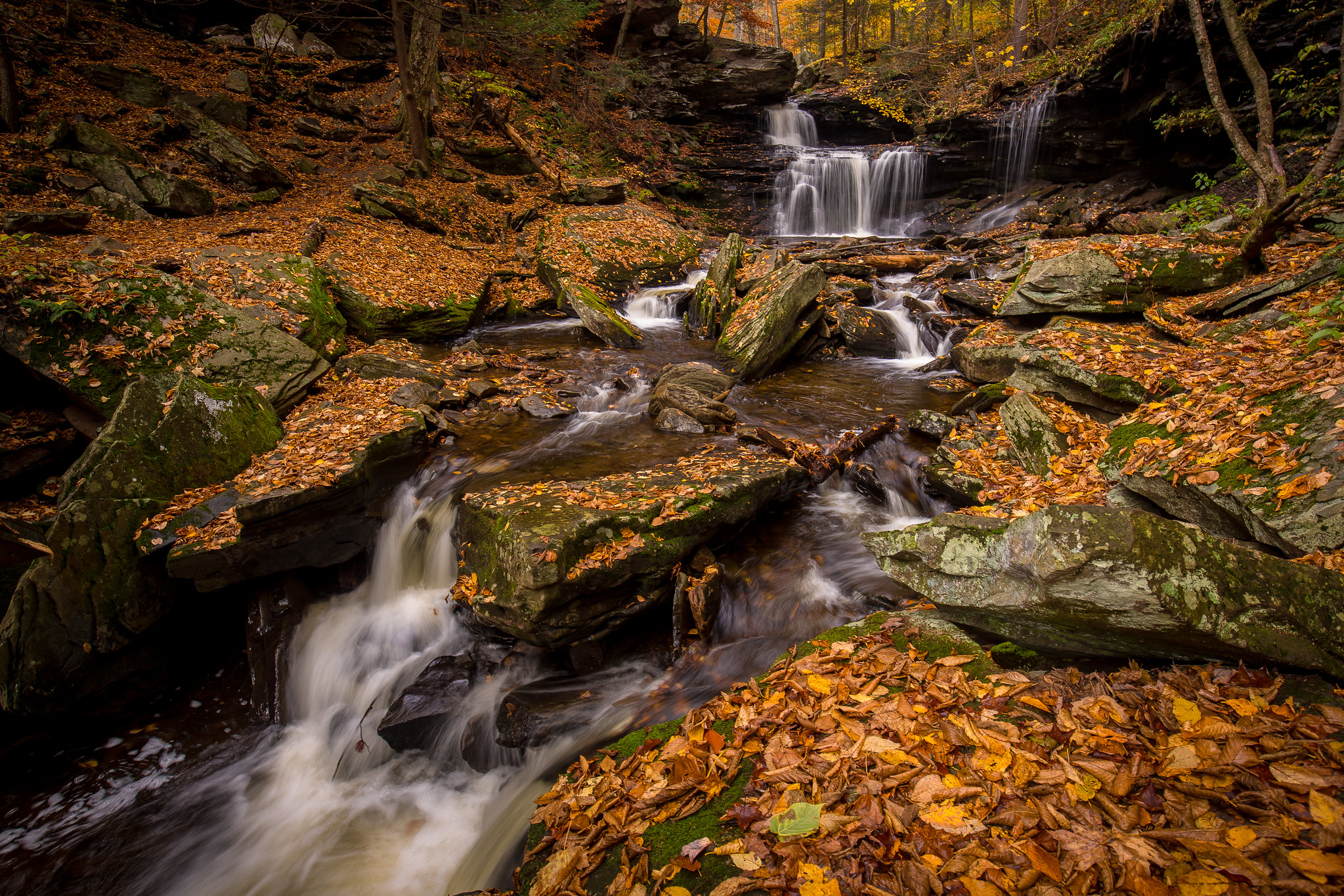 Wallpapers stones river autumn colors on the desktop