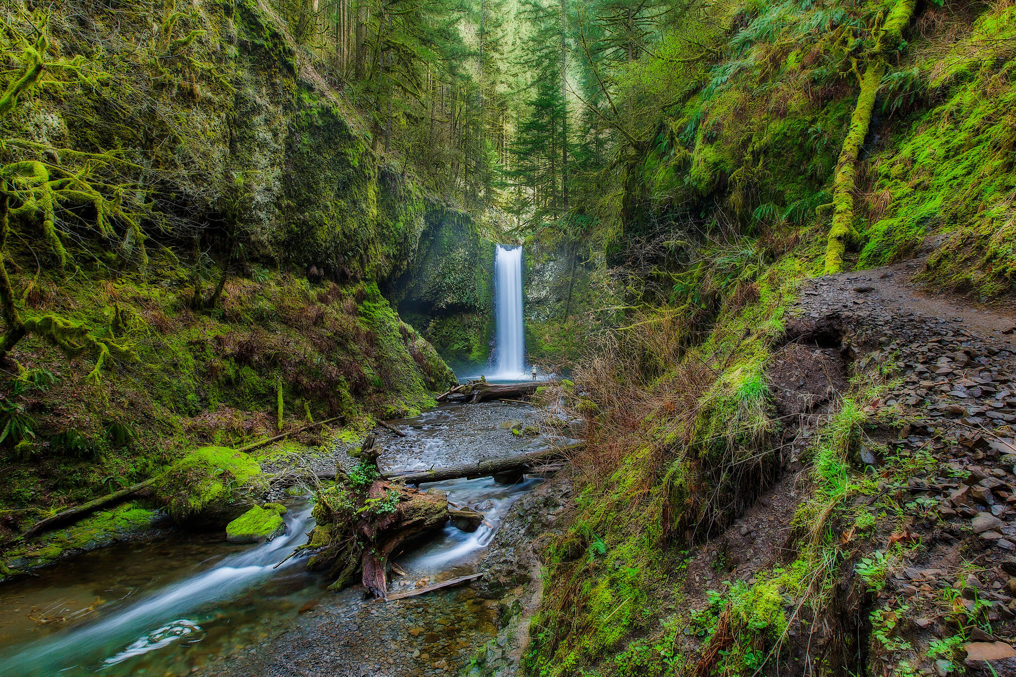 Обои Wiesendanger Falls Columbia River Gorge Водопад Визендангер на рабочий стол