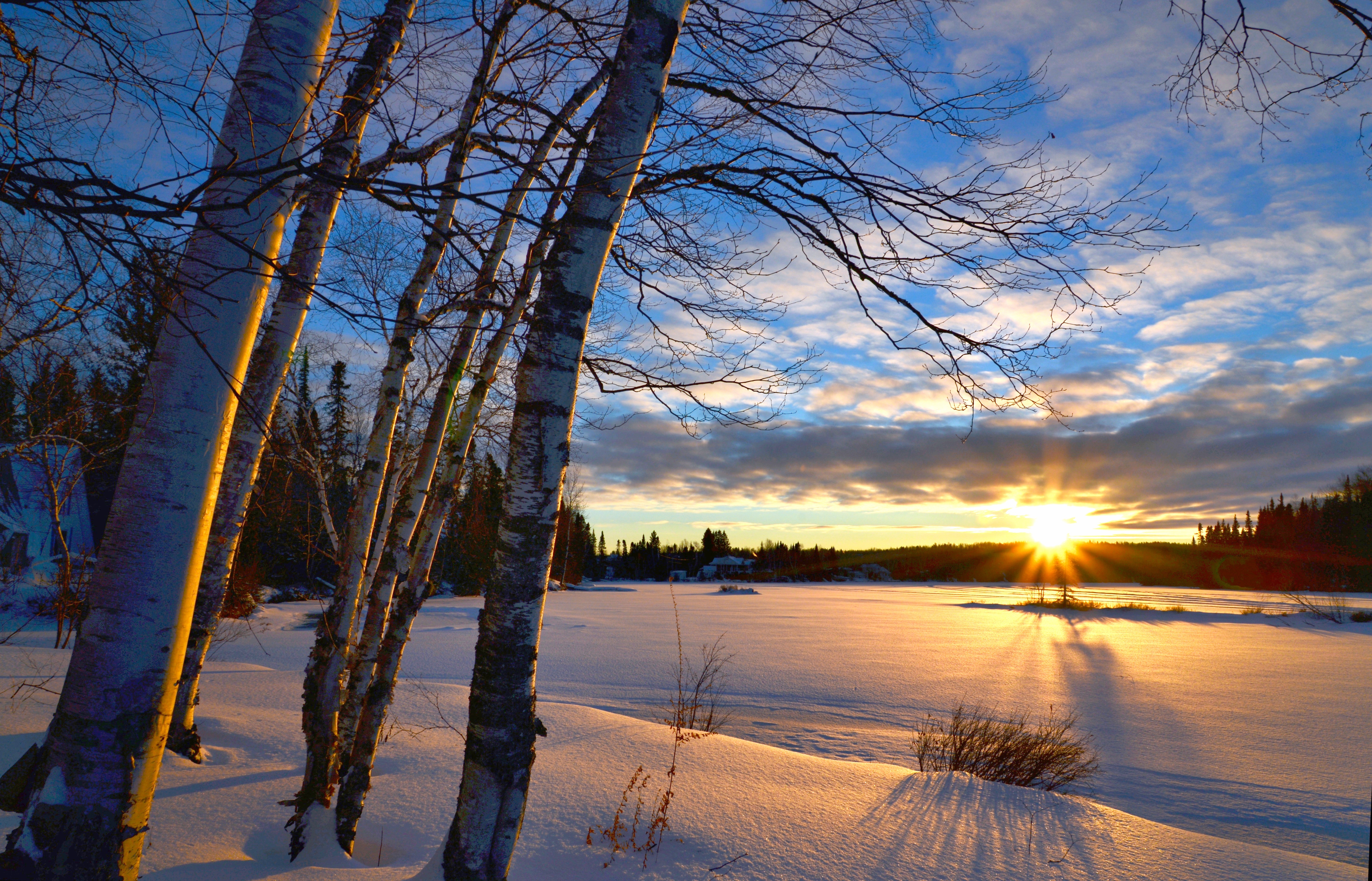 Free photo Morning in a winter field