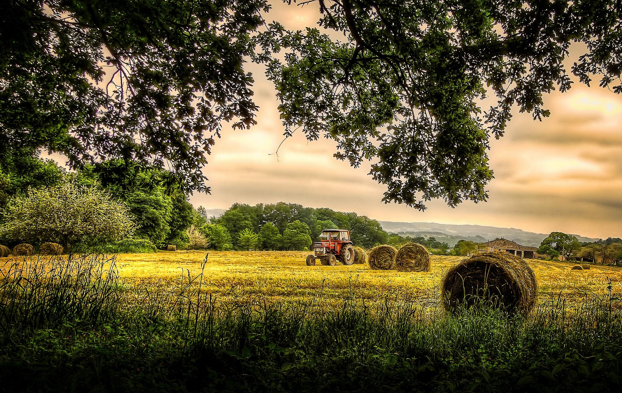 Wallpapers sunset field tractor on the desktop