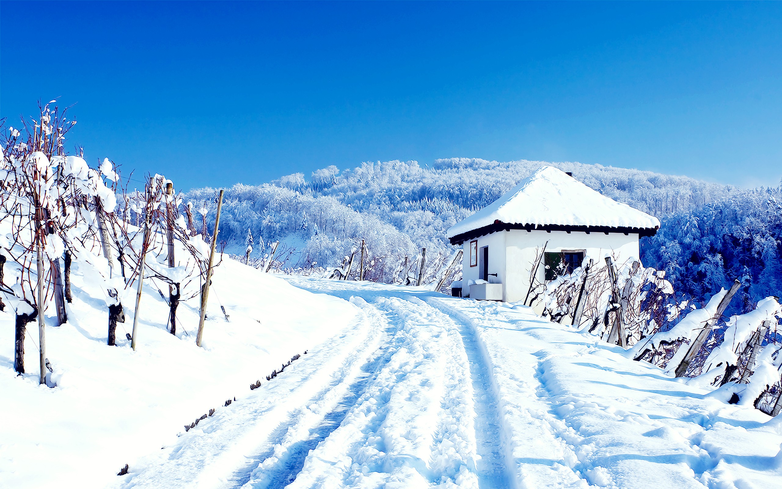 Free photo The winter road on the bluff