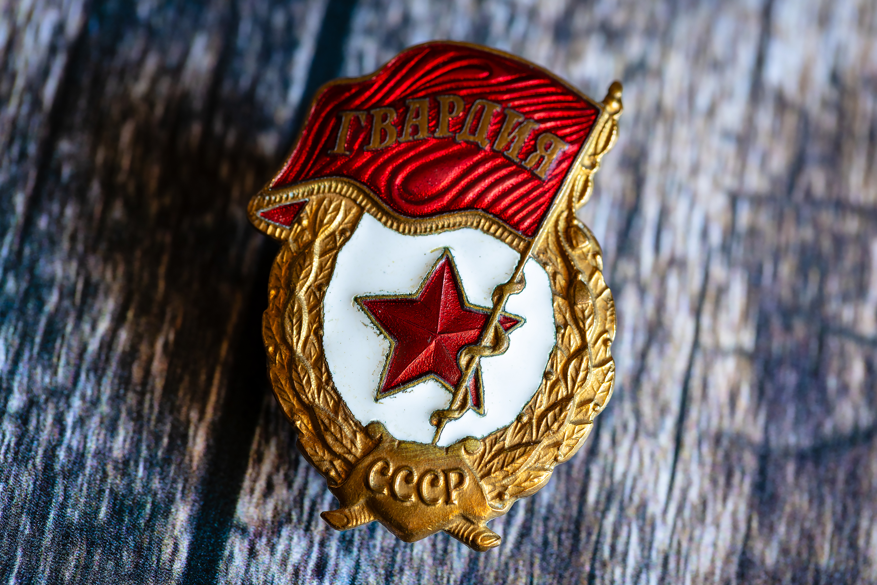 Badge of the Guard