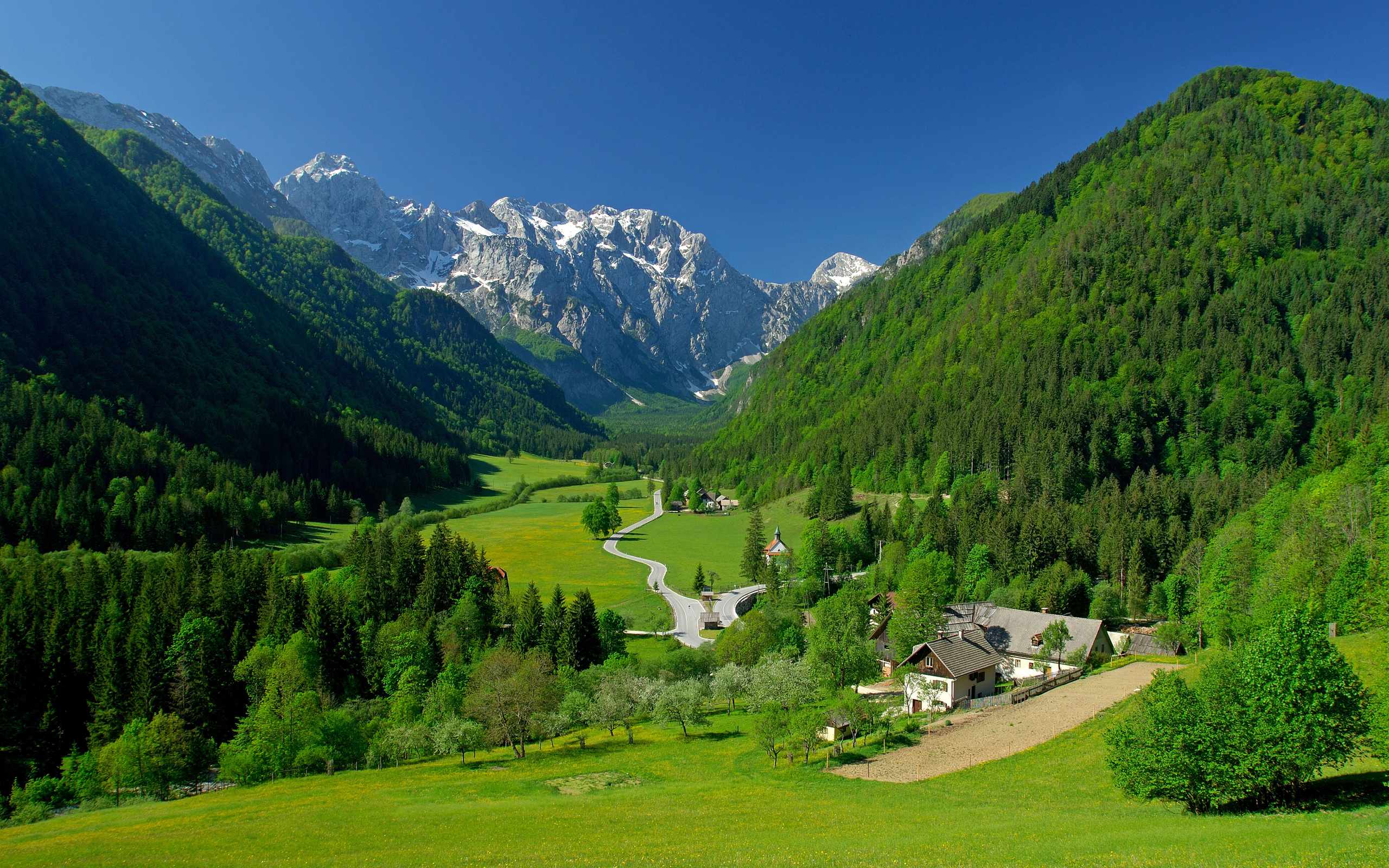 Free photo Alpine fields