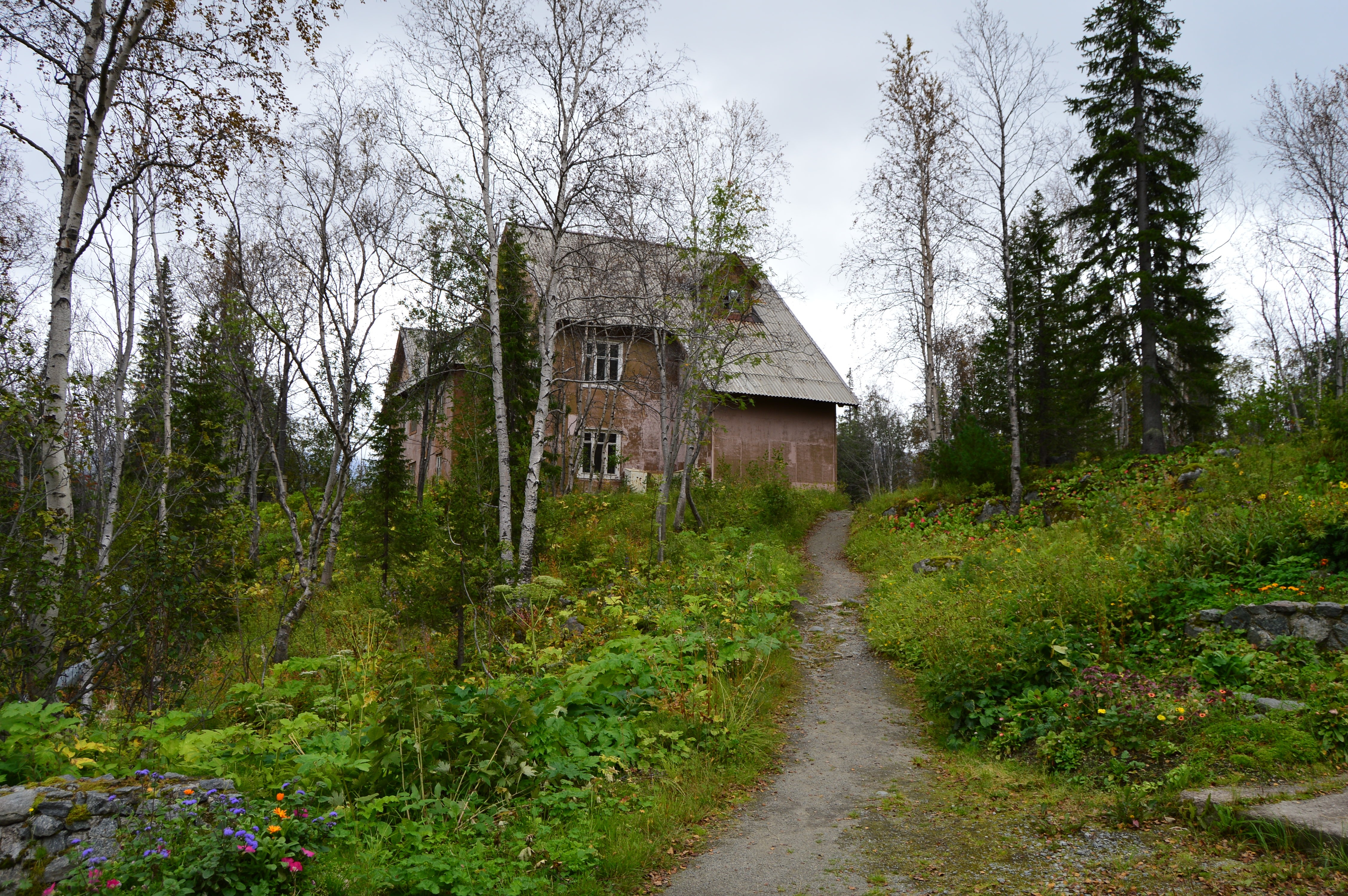 Free photo Old private house in the woods