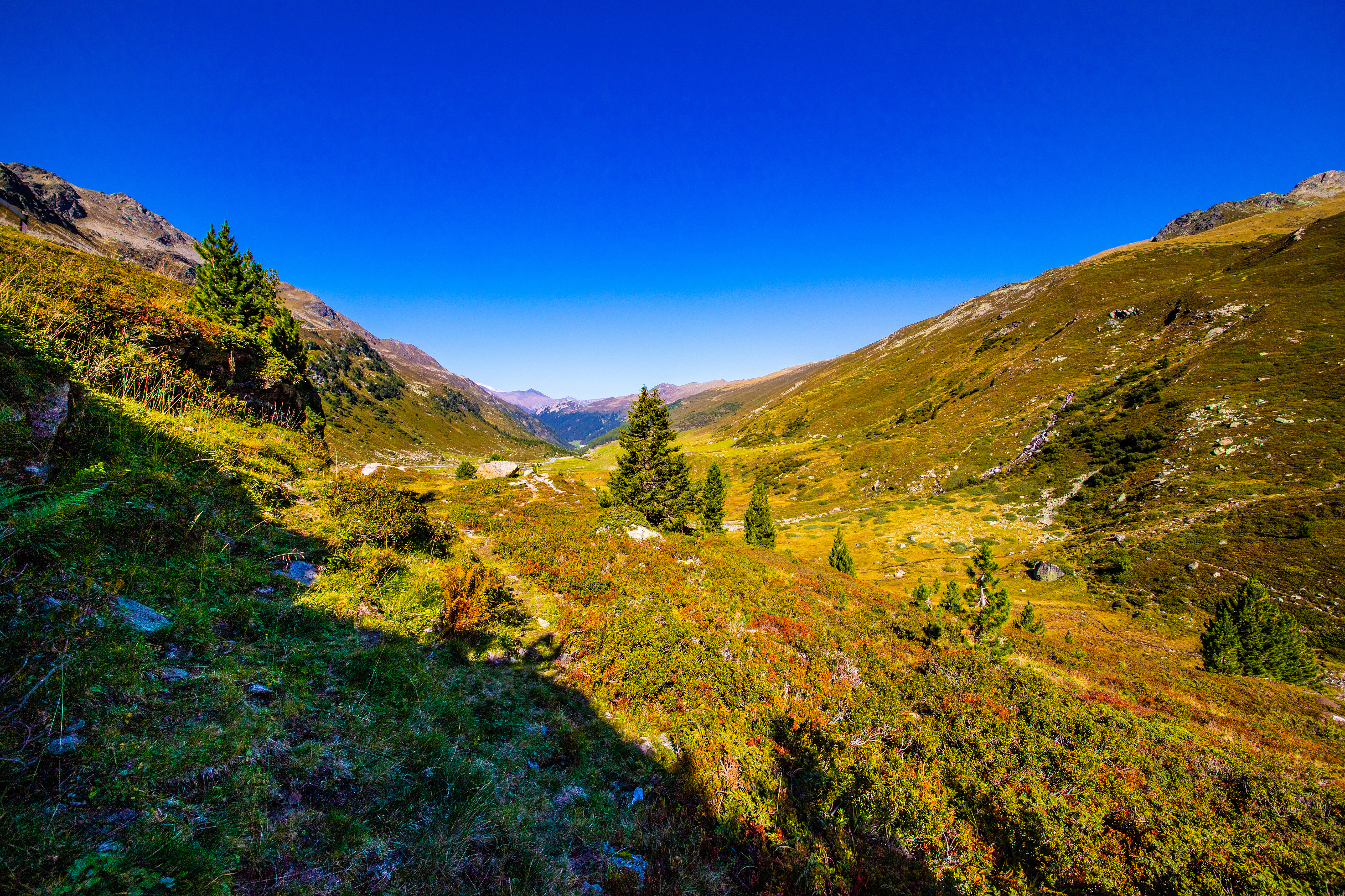 Wallpapers Alps nature meadow on the desktop