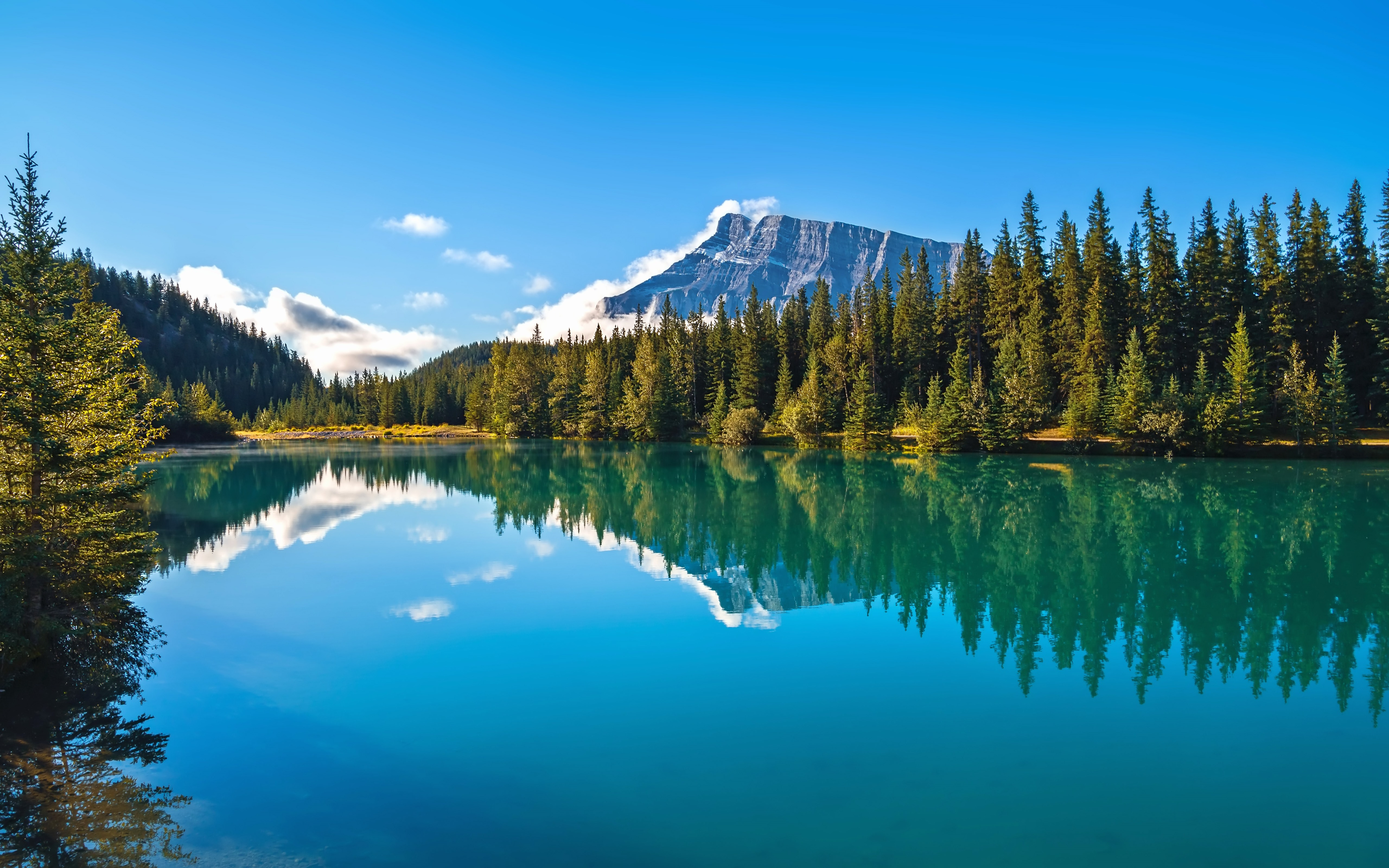 Free photo Beautiful view of a lake in the woods