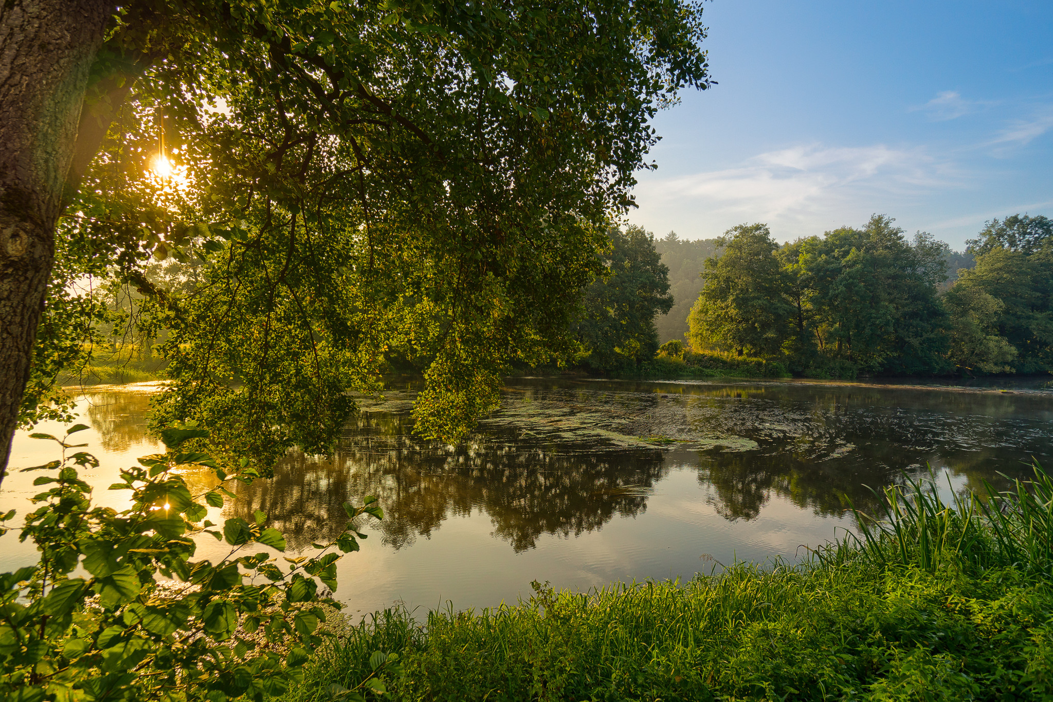 Wallpapers summer landscape evening on the desktop