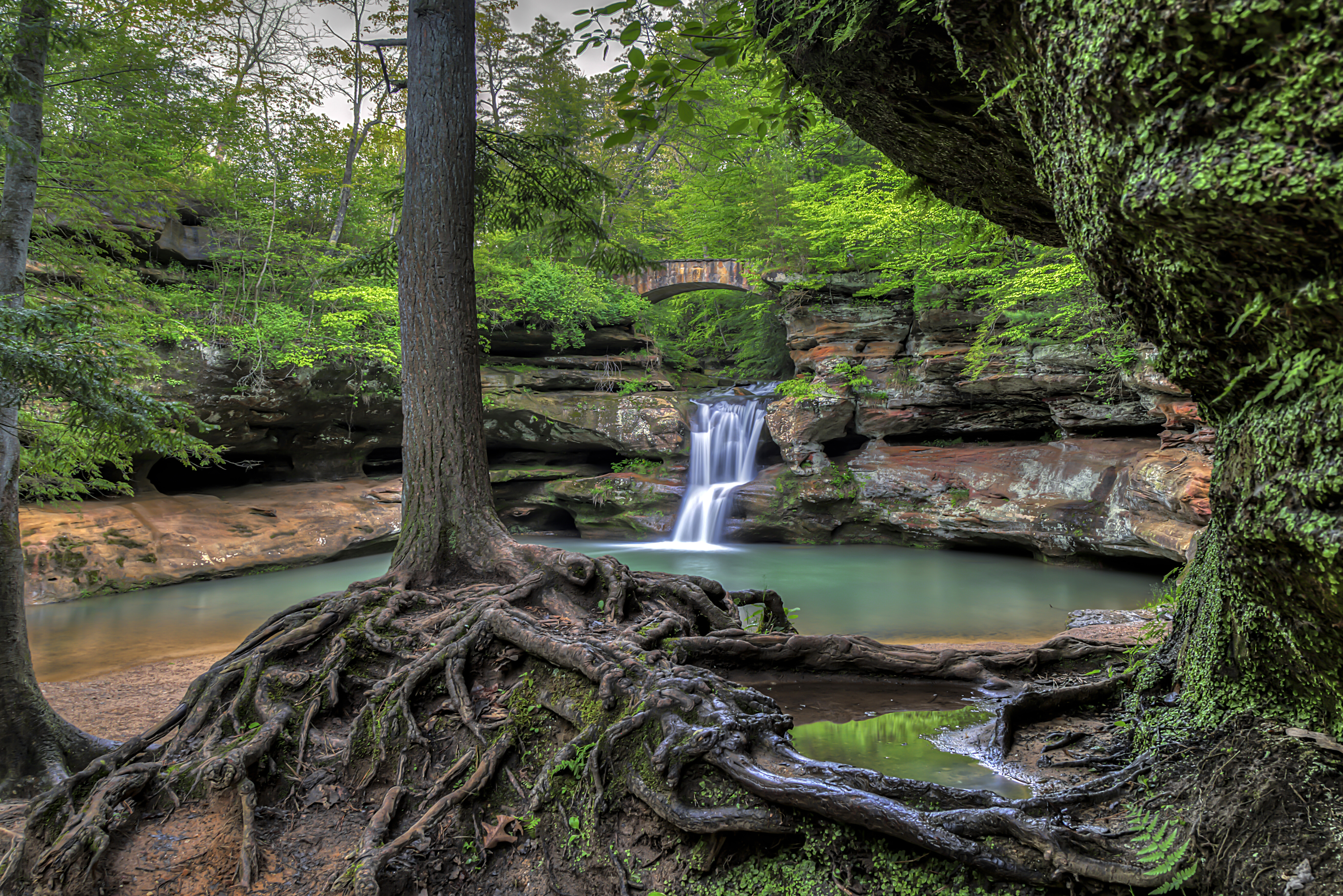 Wallpapers Ohio trees Old Mans Cave on the desktop