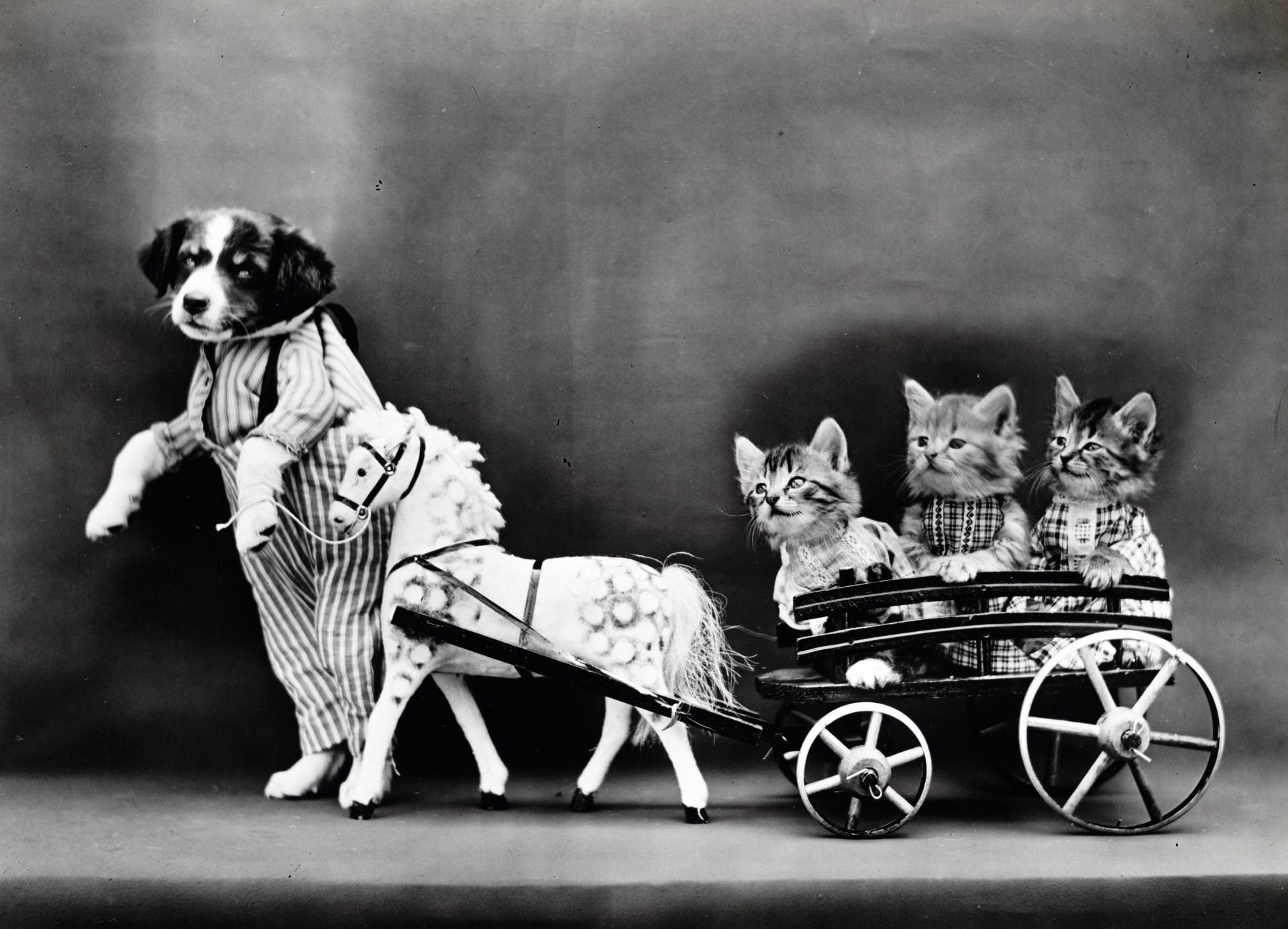Wallpapers black and white vintage cart on the desktop