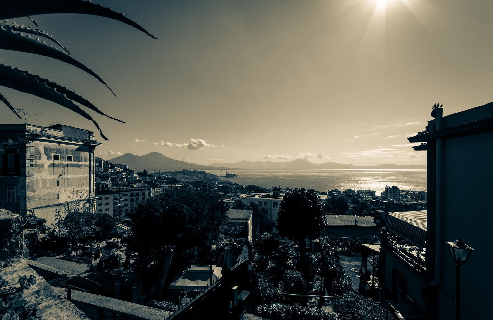 免费照片关键要素