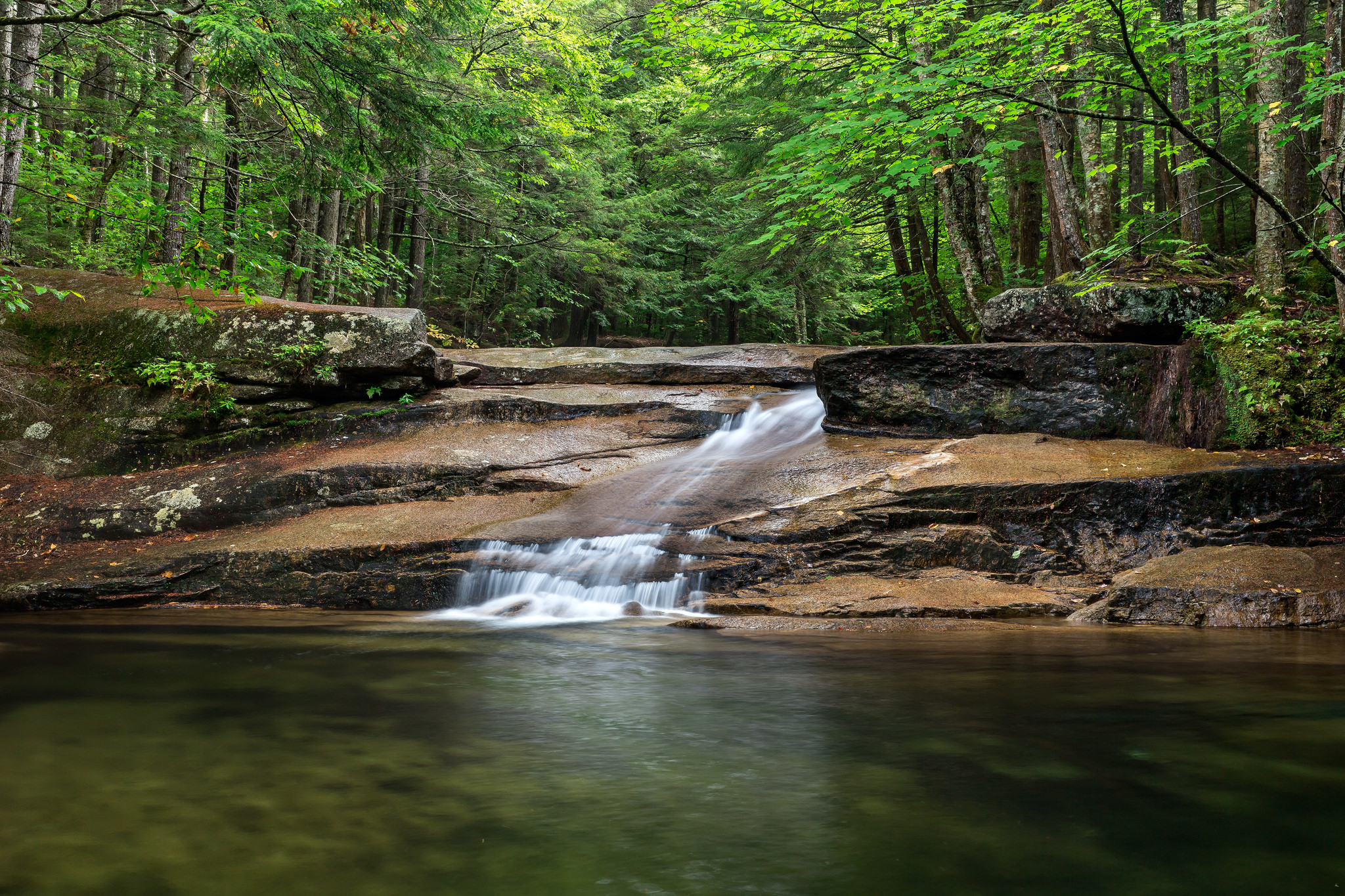 Free photo Screensaver forest, rocks on the desktop