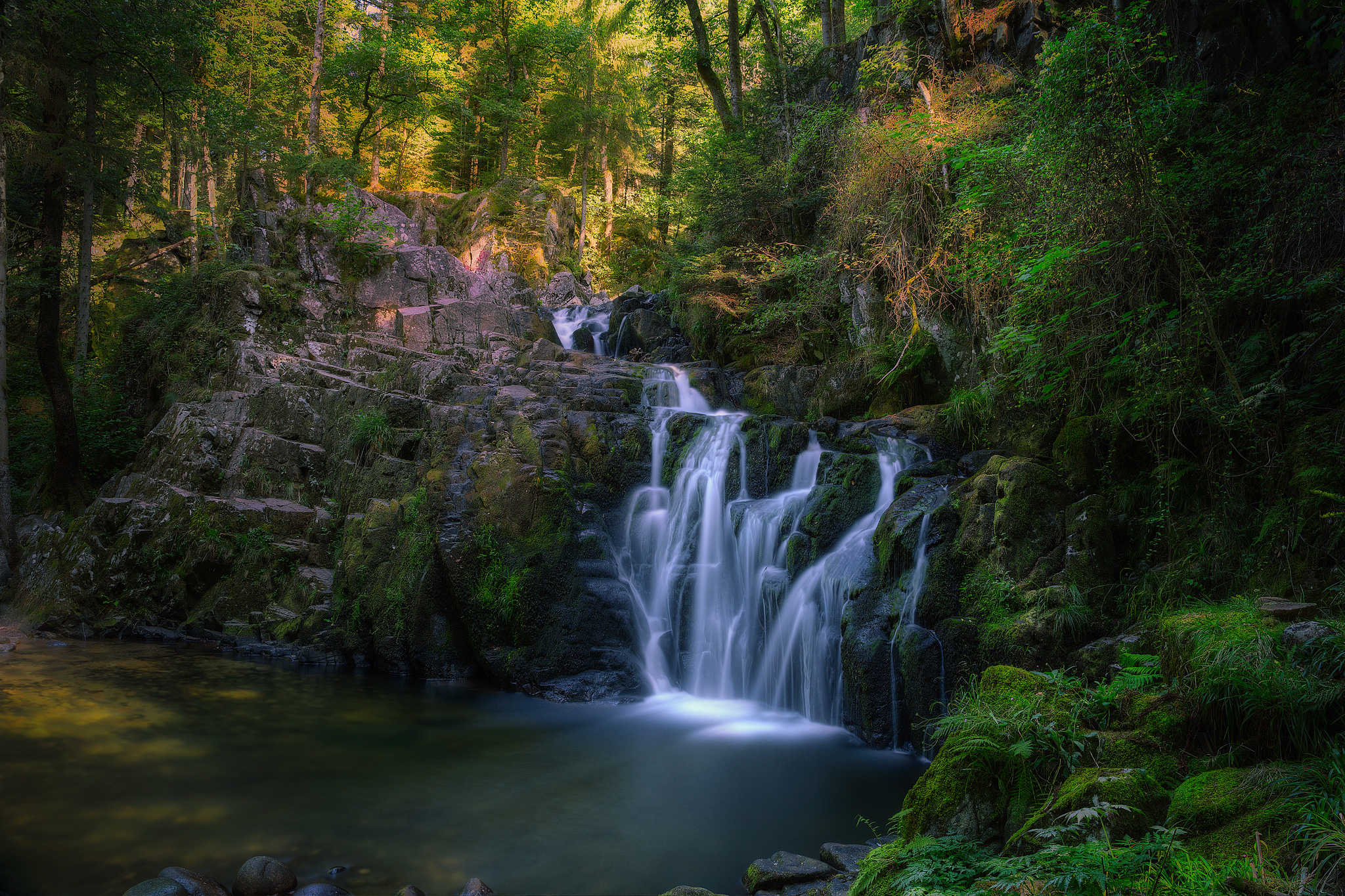 Free photo A wooded creek with a waterfall