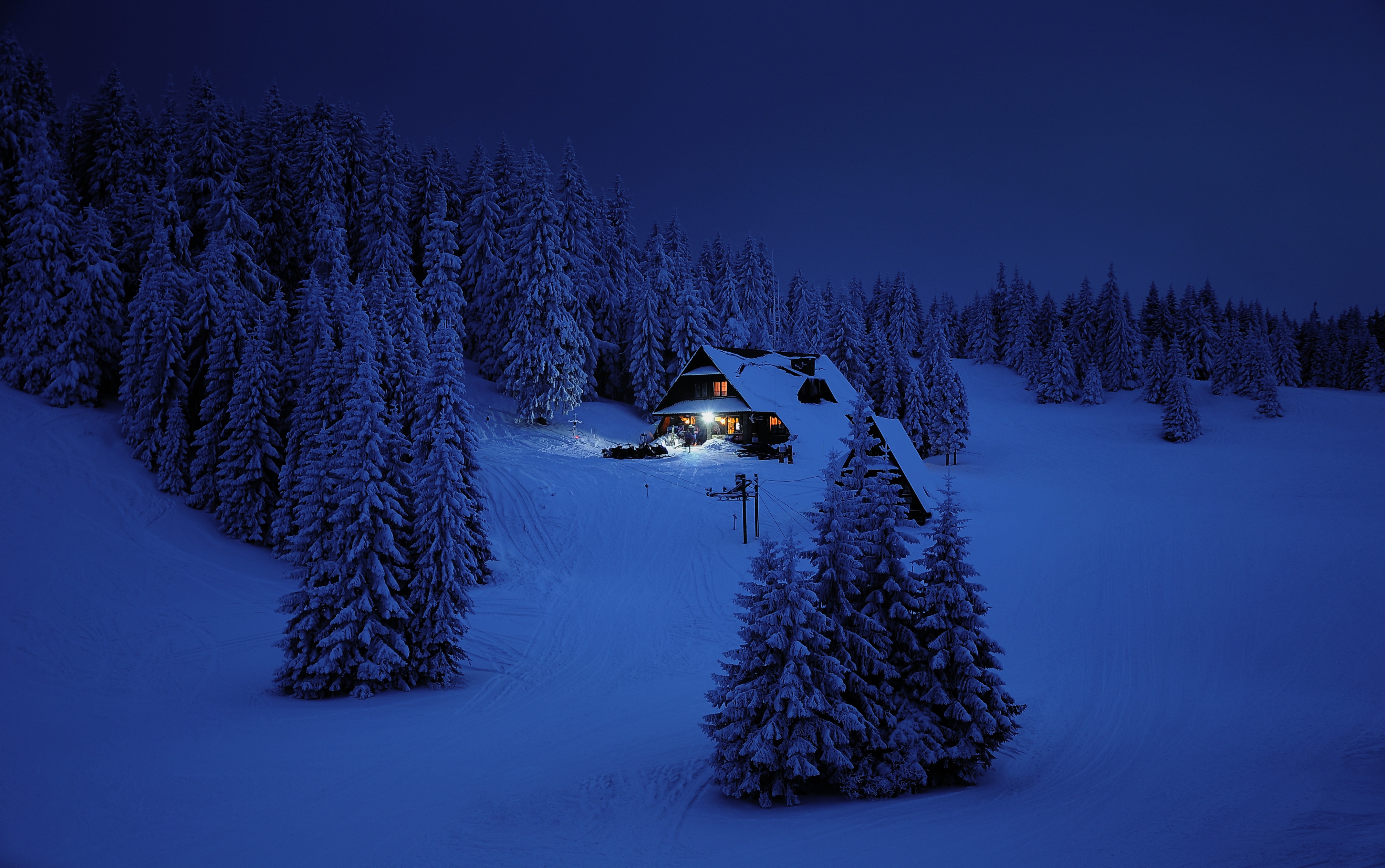 Wallpapers trees Poland ski resort on the desktop