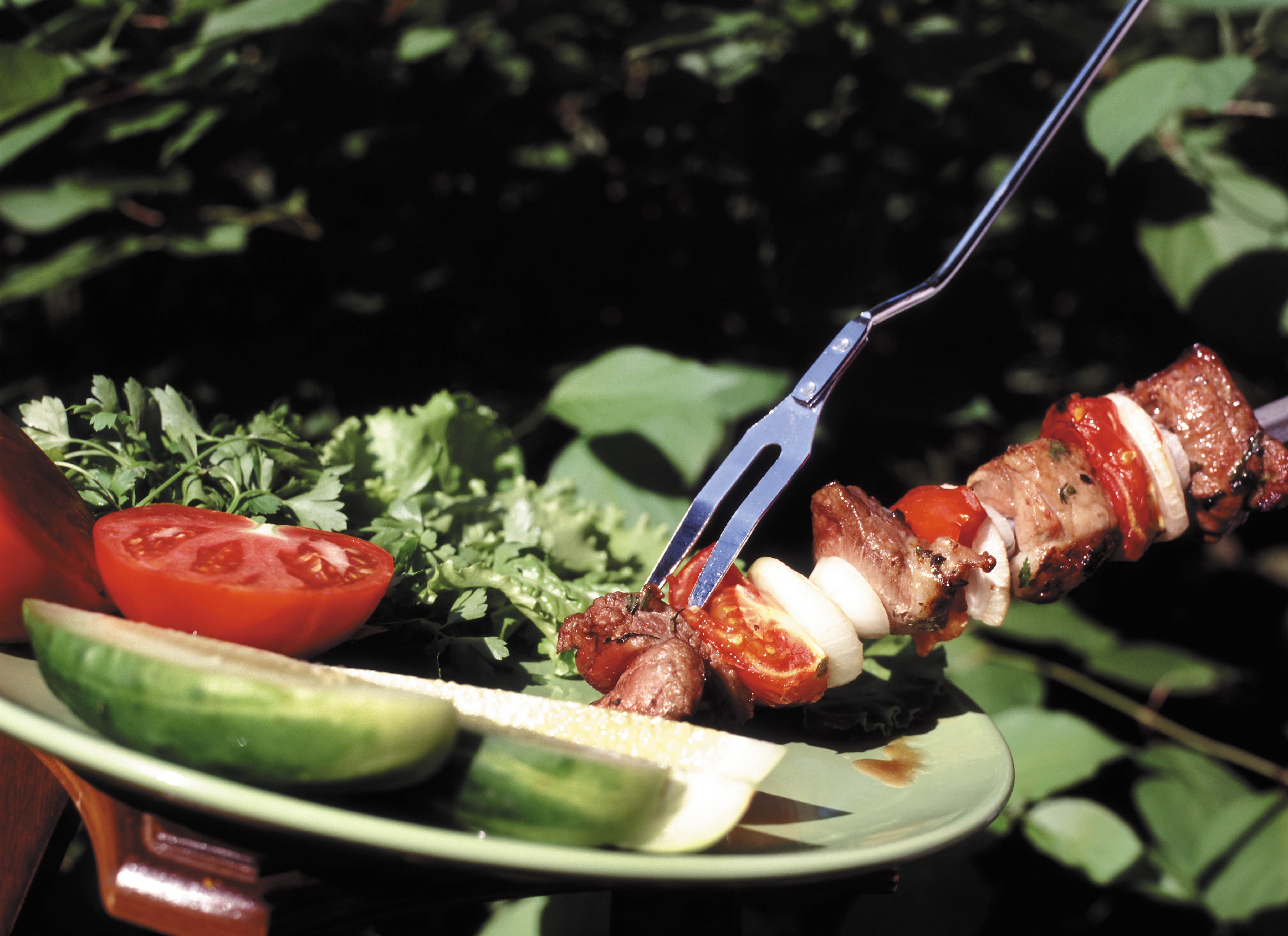 Wallpapers kebabs meat vegetables on the desktop