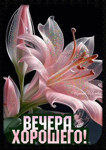 Postcard on the theme have a beautiful evening drinks download for free