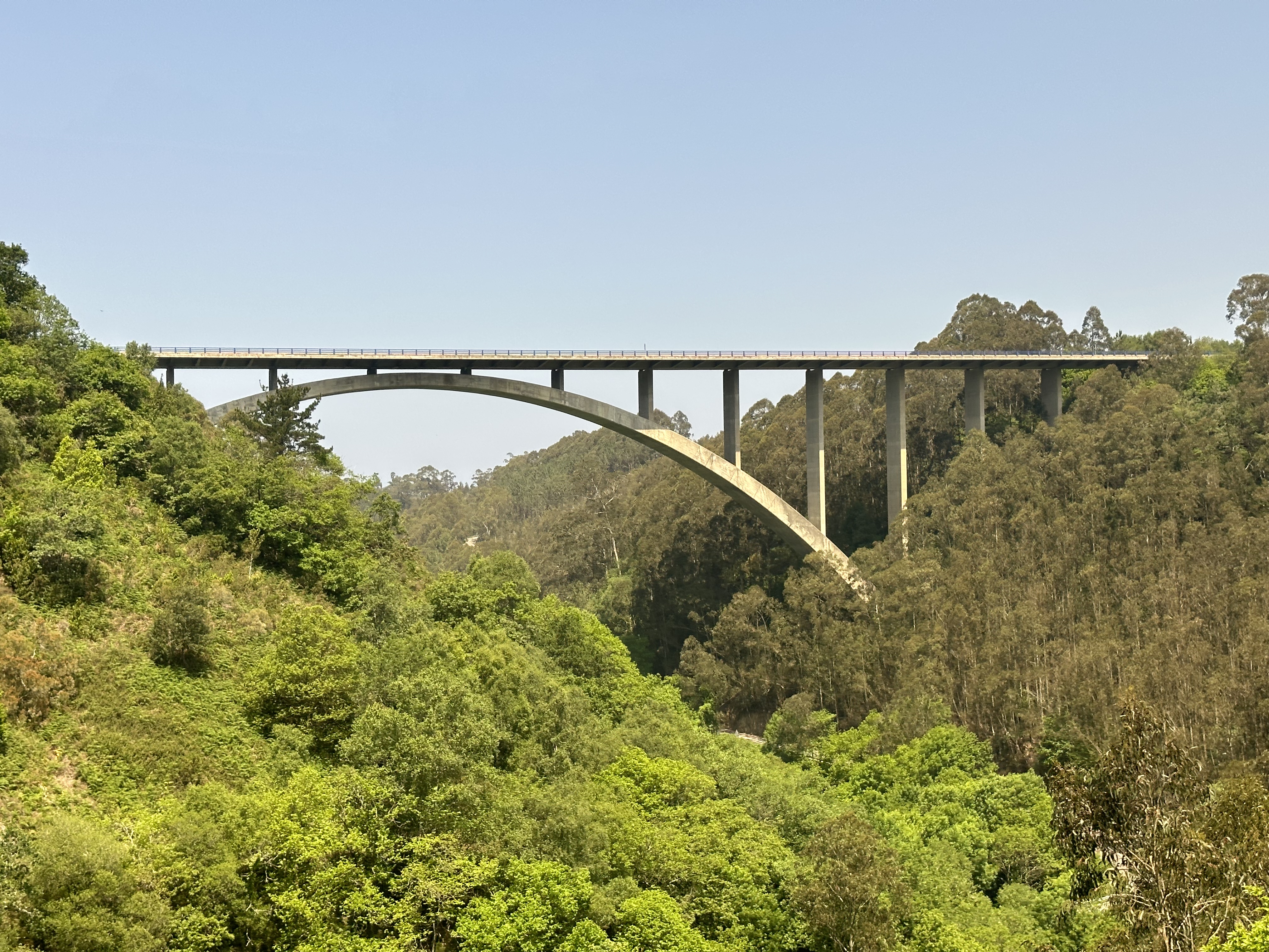 Wallpapers bridge river road on the desktop