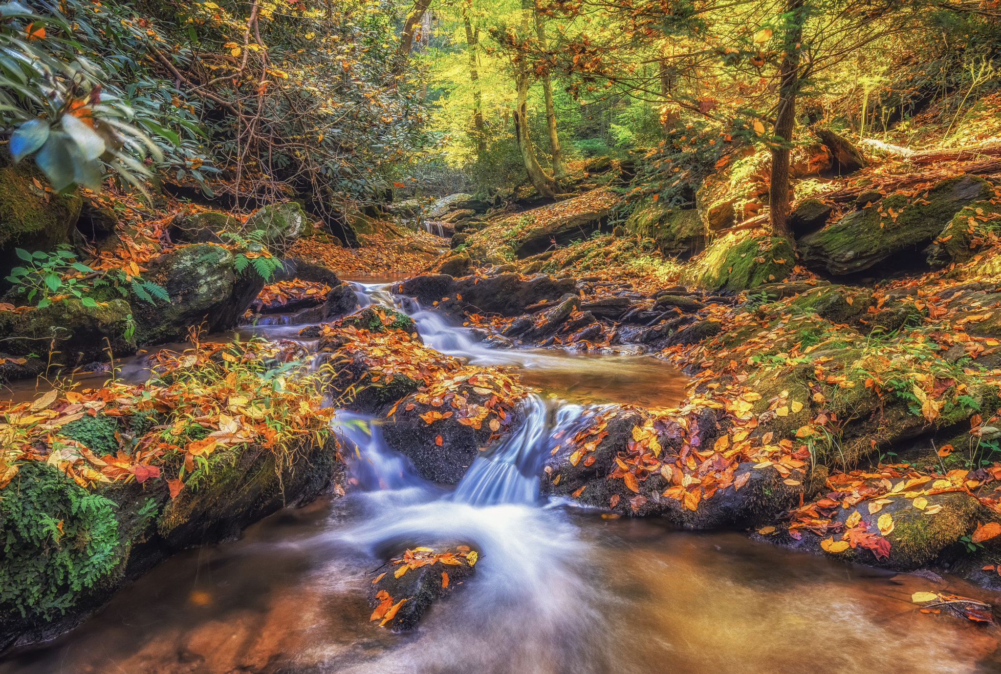 Wallpapers waterfall nature autumn colors on the desktop