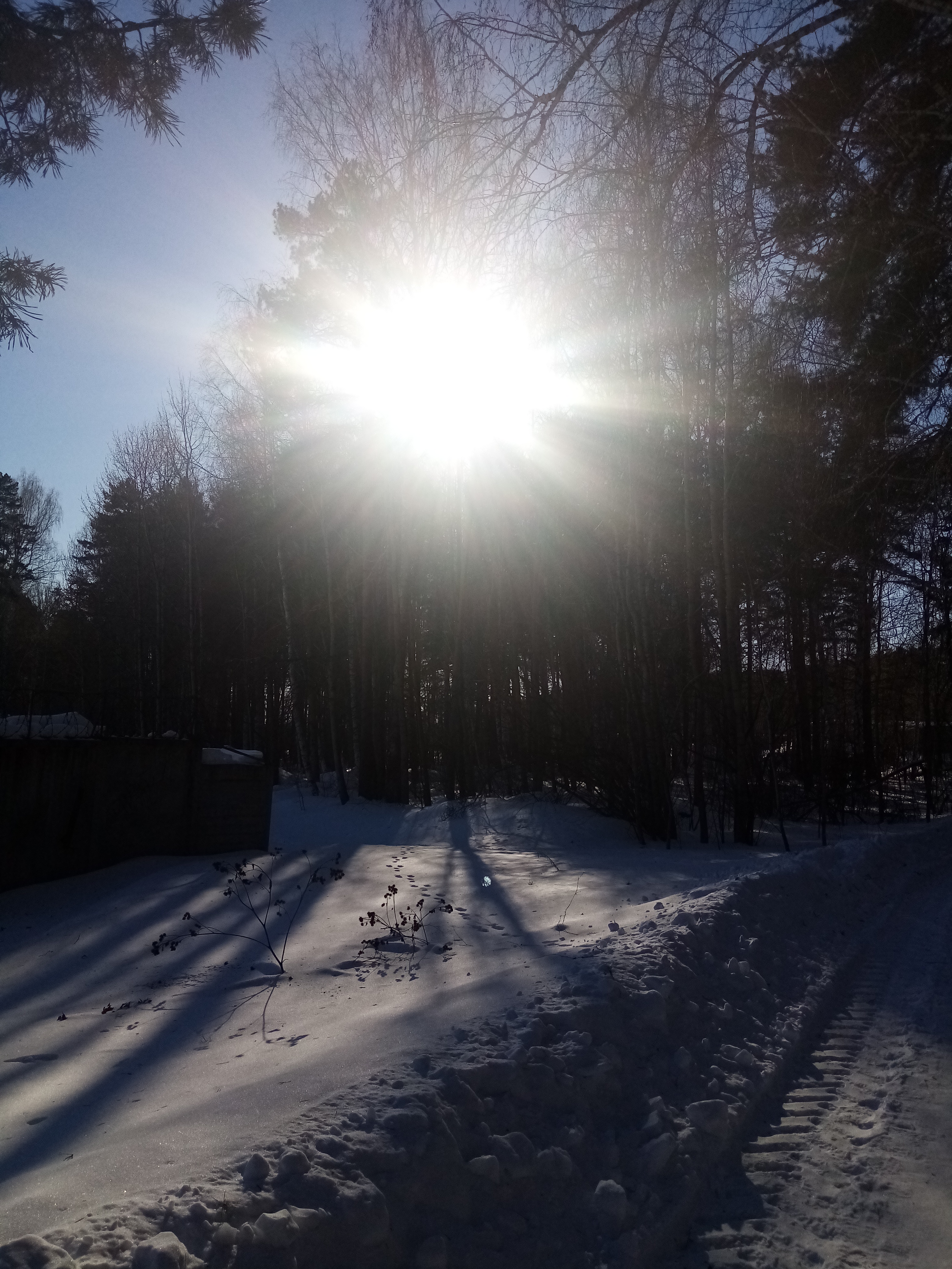 Мороз и солнце