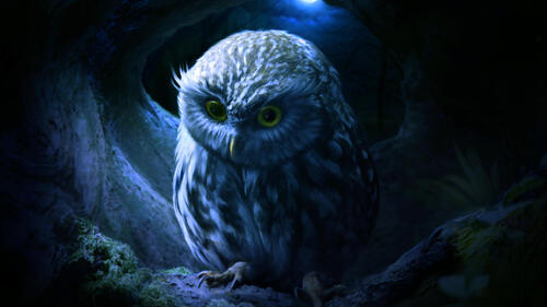 Обои сова художник работа на рабочий стол