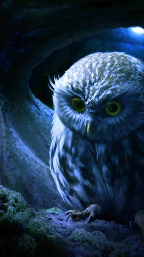 Обои сова художник работа на рабочий стол