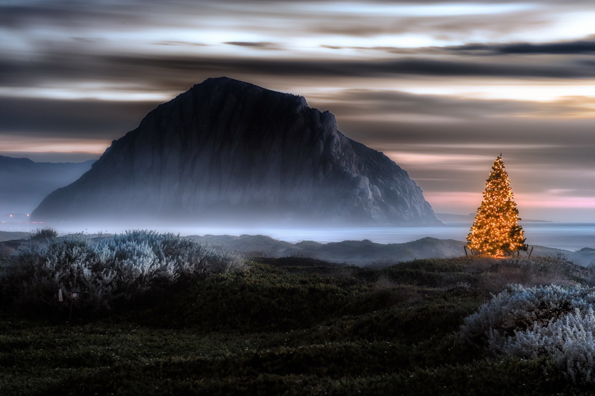 Free photo A glowing Christmas tree in the wild