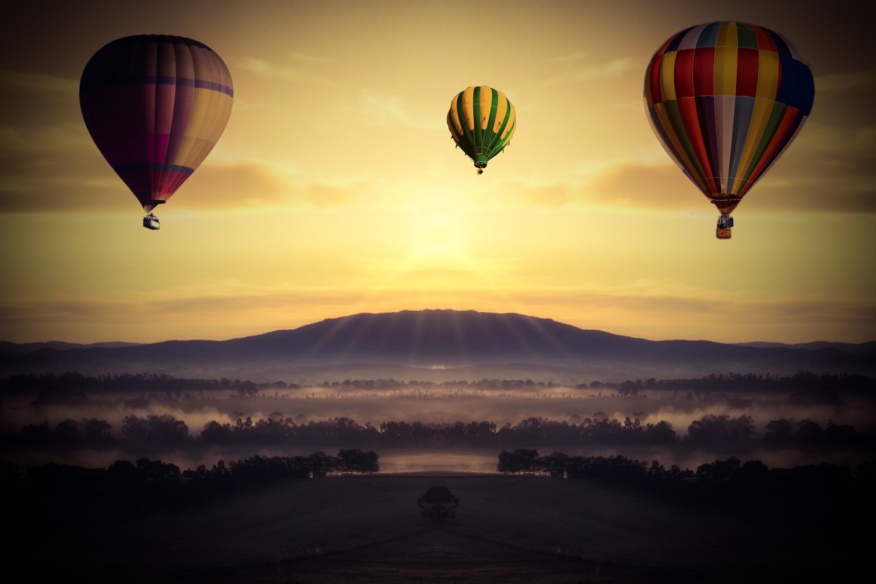 Ular eshakni tashqariga chiqarib tashlamasdan (toplam)