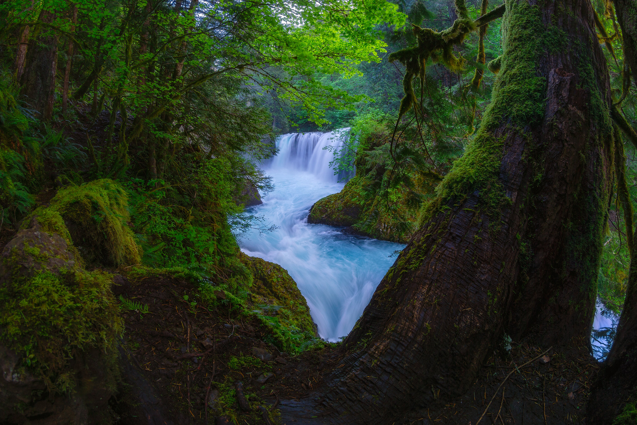 Обои Spirit Falls Columbia River Gorge Washington на рабочий стол