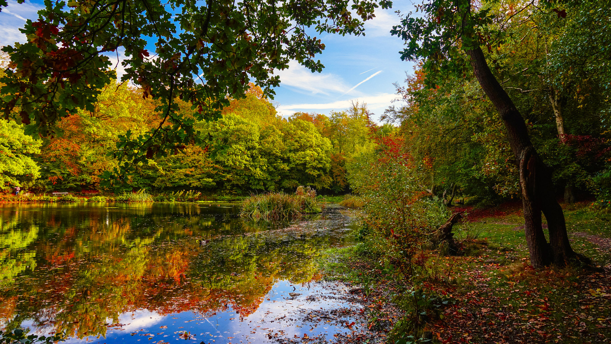 Wallpapers Keston England autumn on the desktop