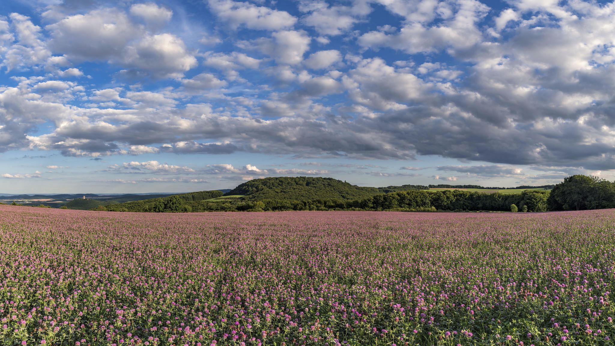 Обои пейзаж горизонт поле на рабочий стол