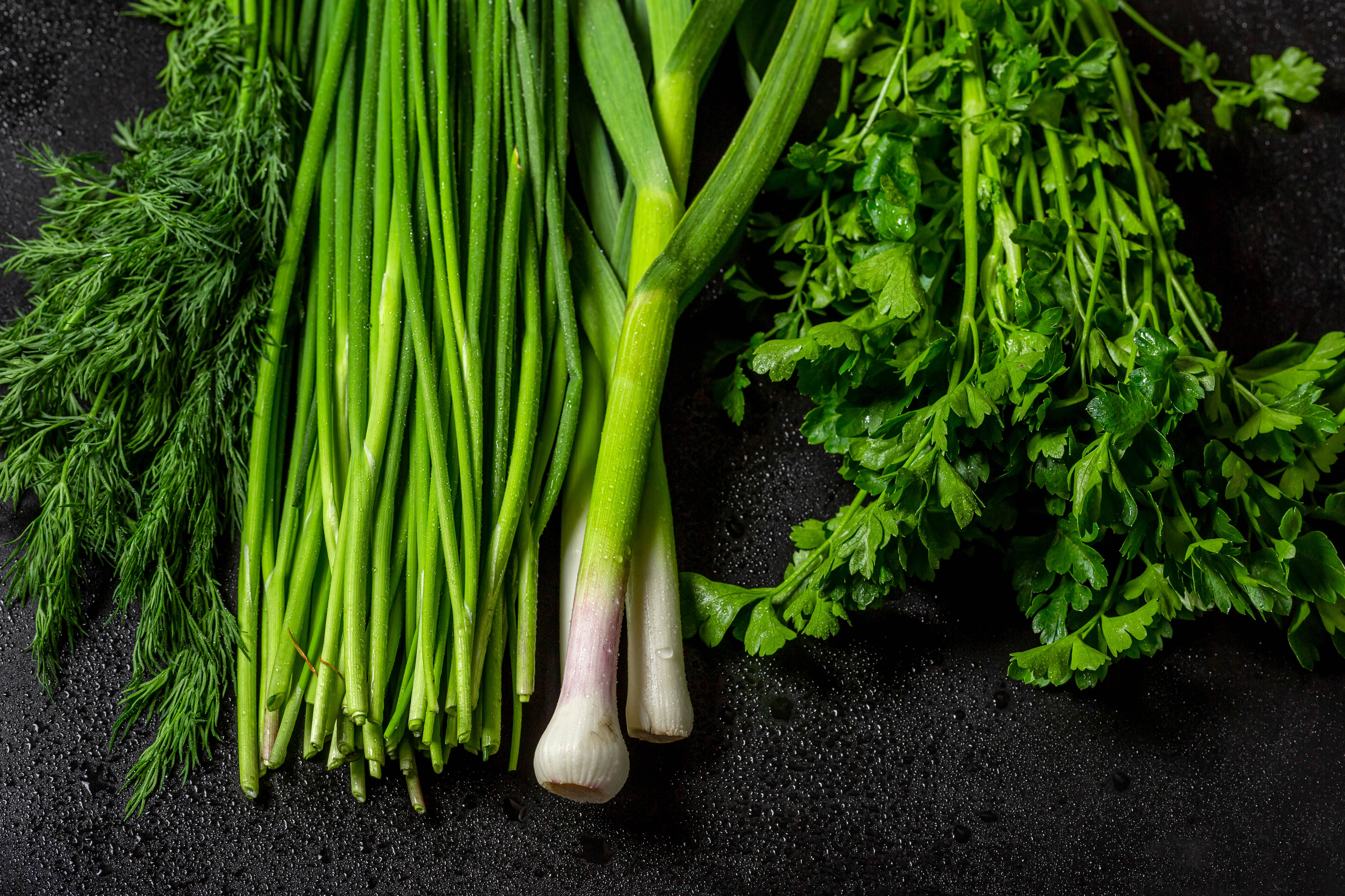 Wallpapers food dill vegetables on the desktop