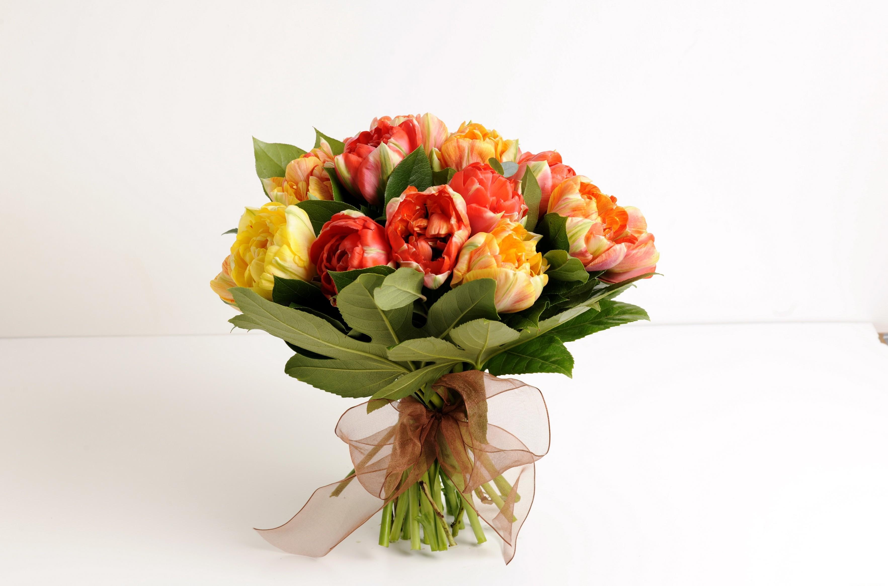 Free photo A bouquet of crazy flowers