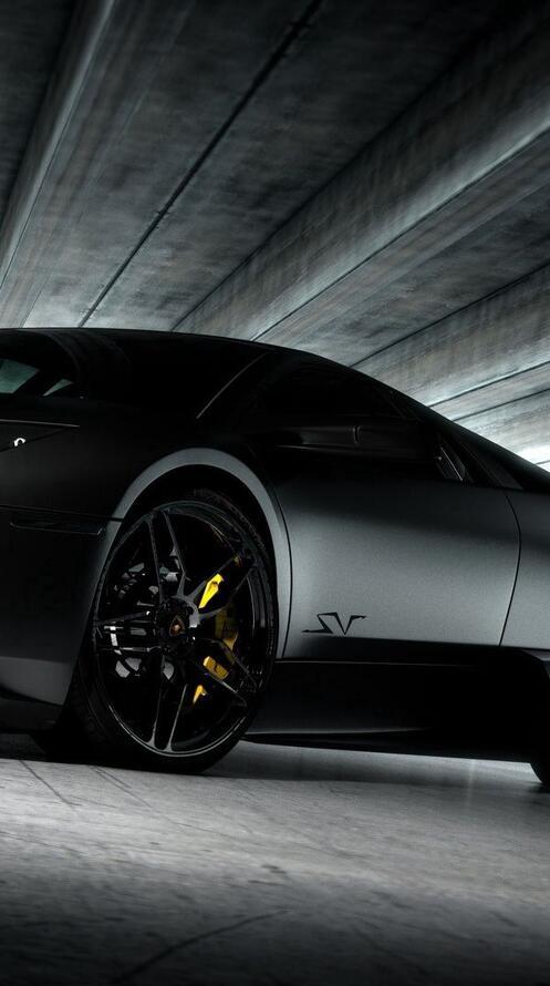 Бесплатное фото Черная ламба SV