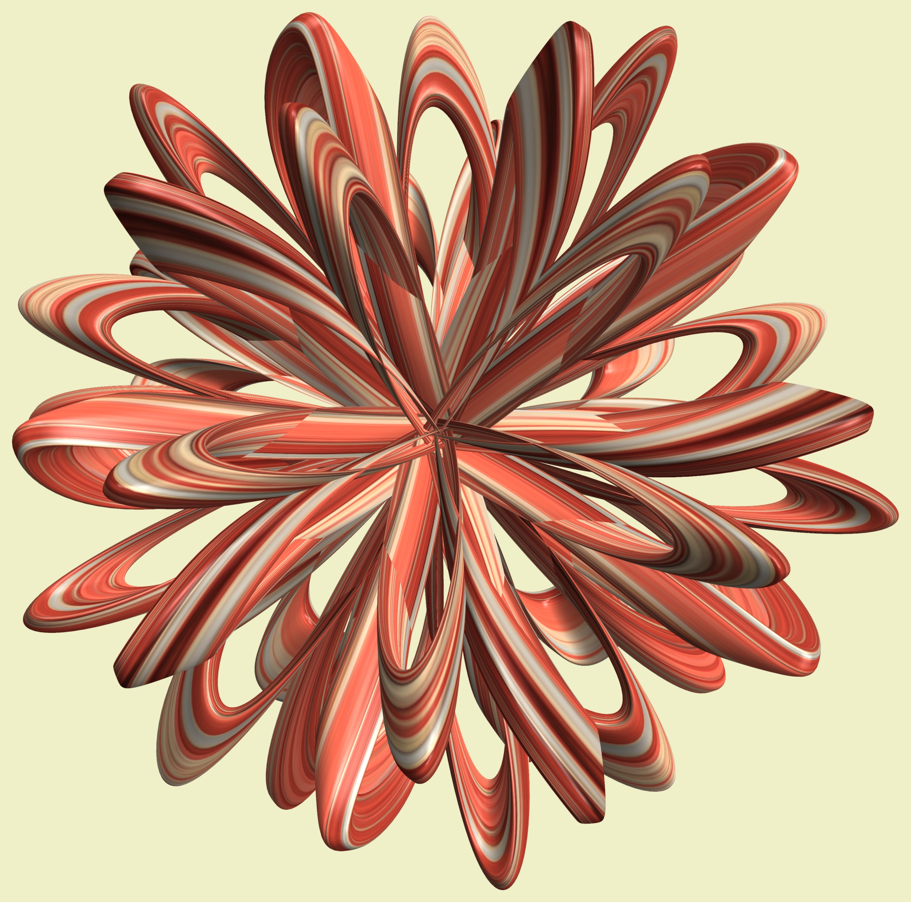 Обои ветвь структура растение на рабочий стол