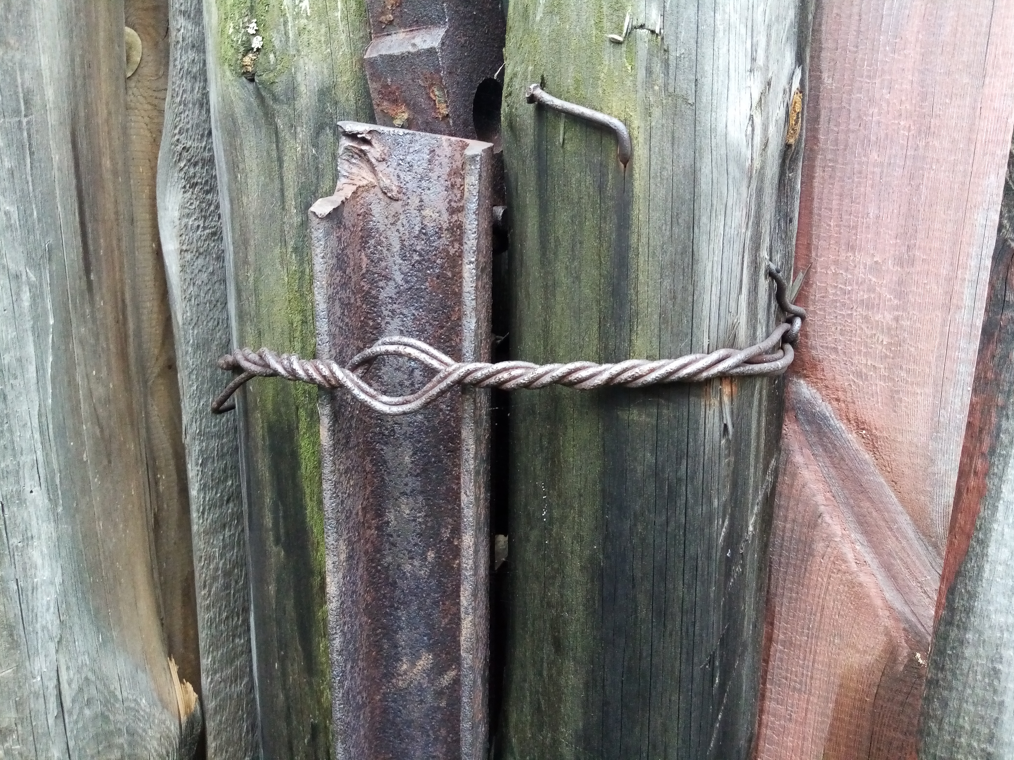 Free photo We stick together